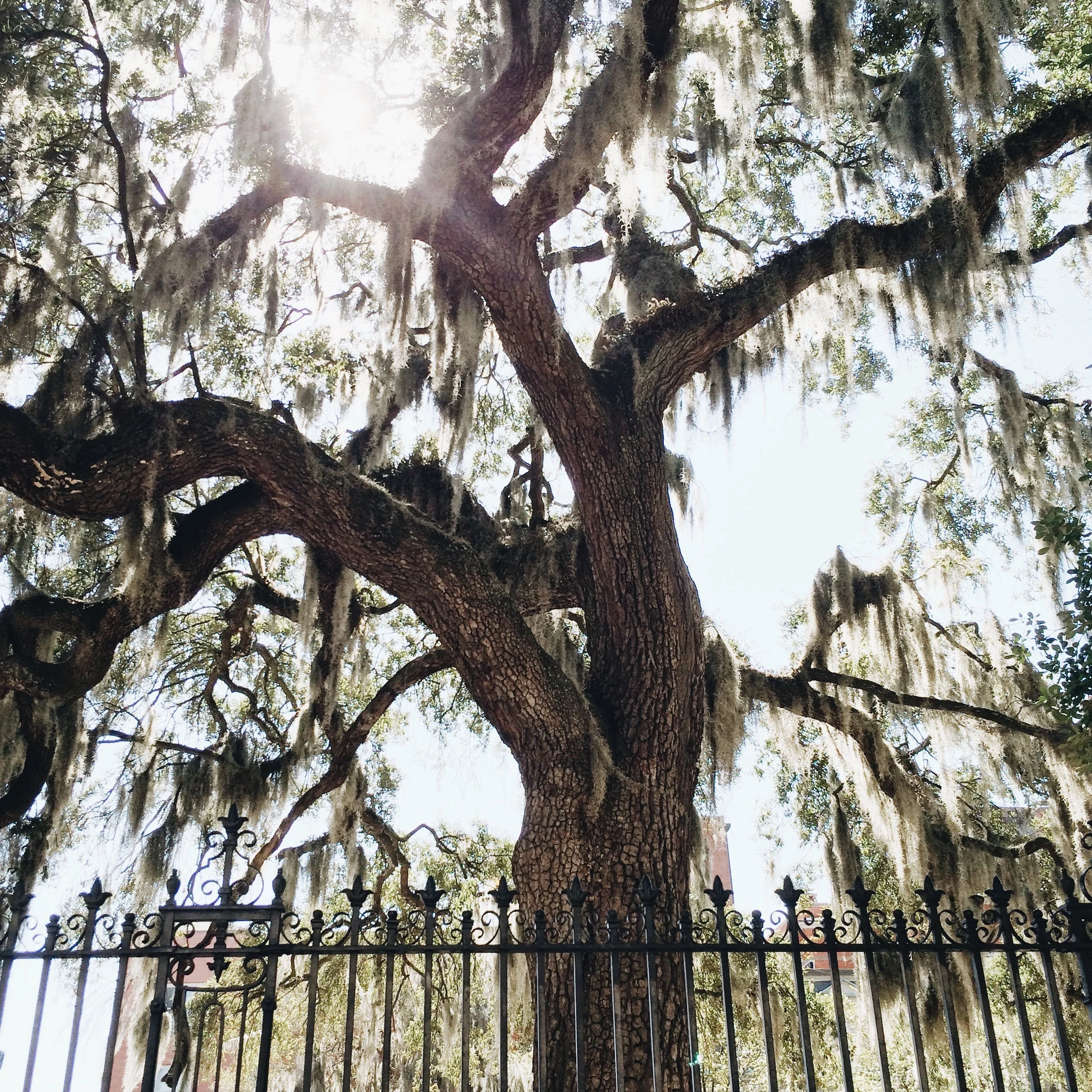 Processed with VSCOcam with a6 preset