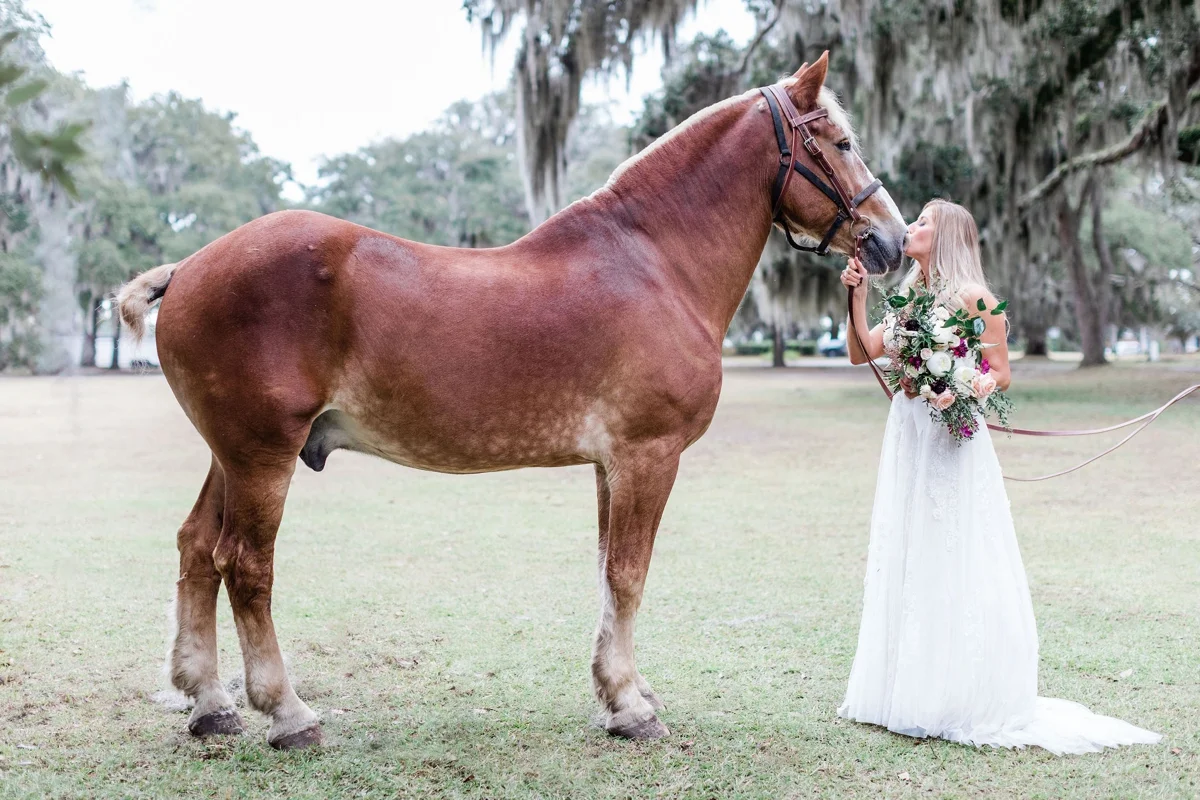 Horse wedding at Whitefield Chapel in Savannah, Georgia