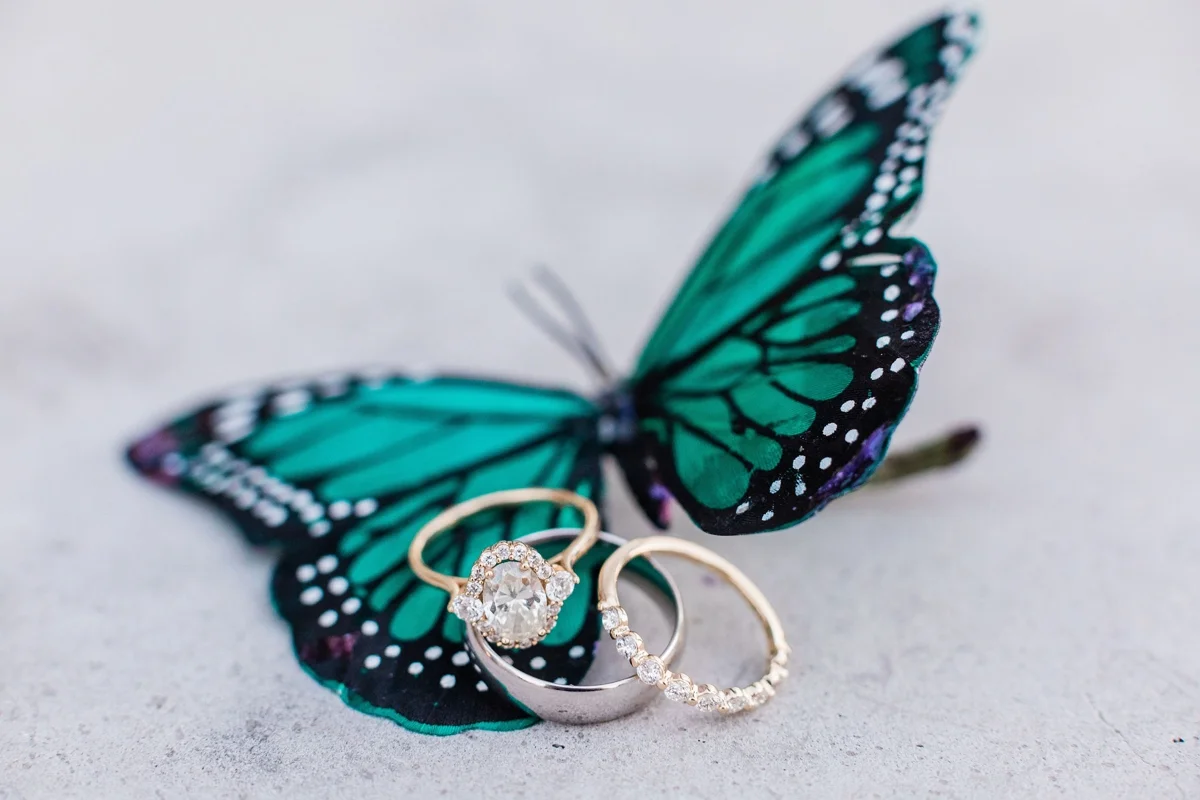 Catie + Carl’s Intimate Washington DC Wedding by Apt. B Photography