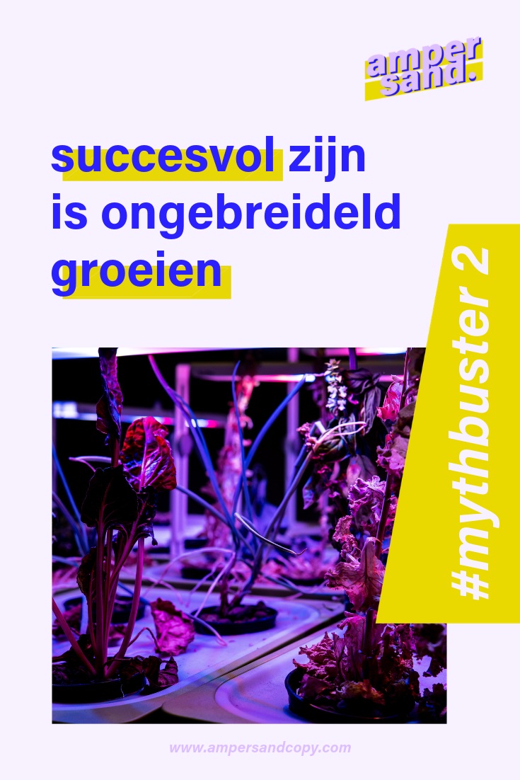 Ondernemen = je eigen weg zoeken. En die loopt niet altijd recht naar de top.