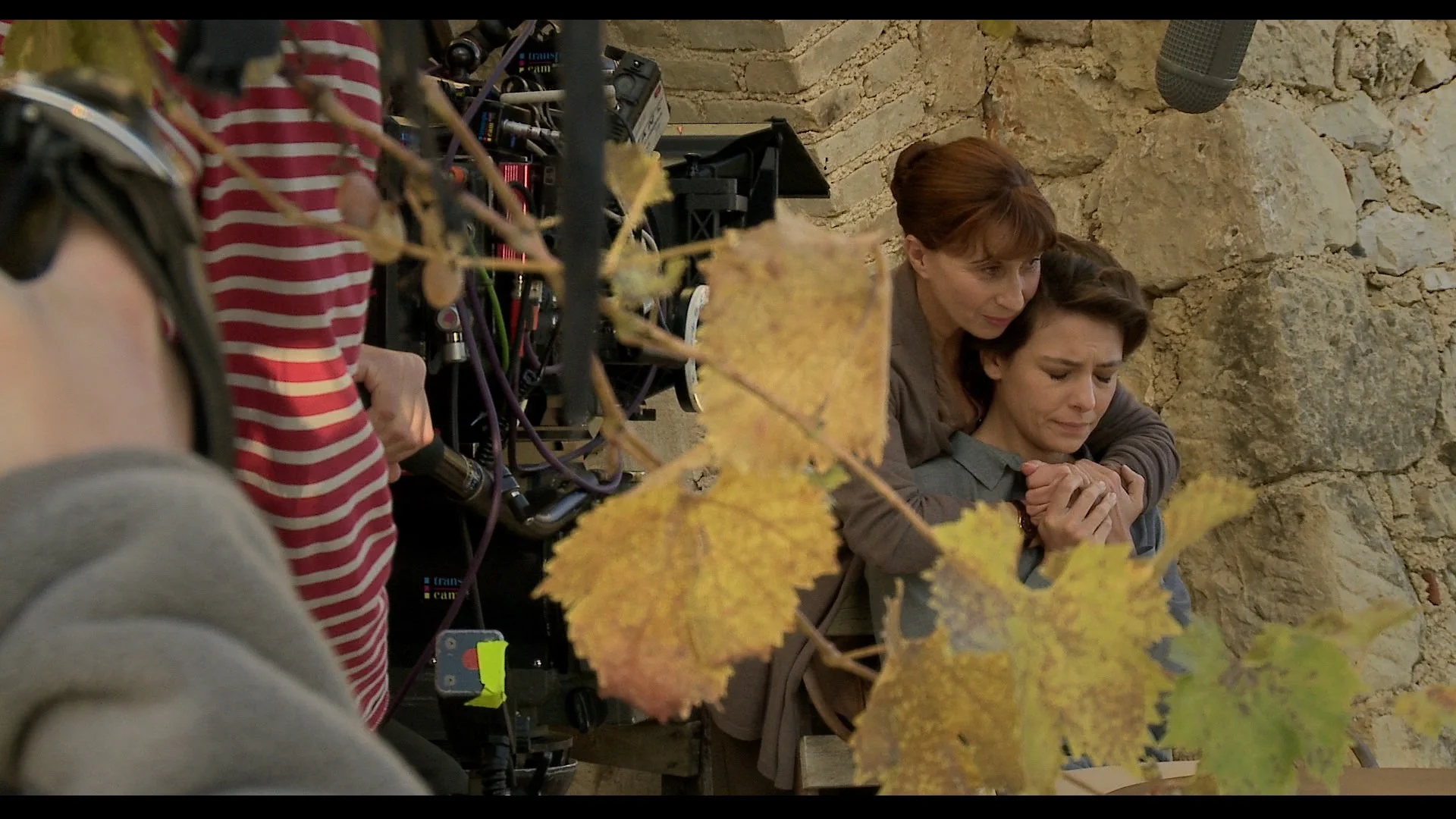 Les désaccords parfaits, Emmanuel Mouret