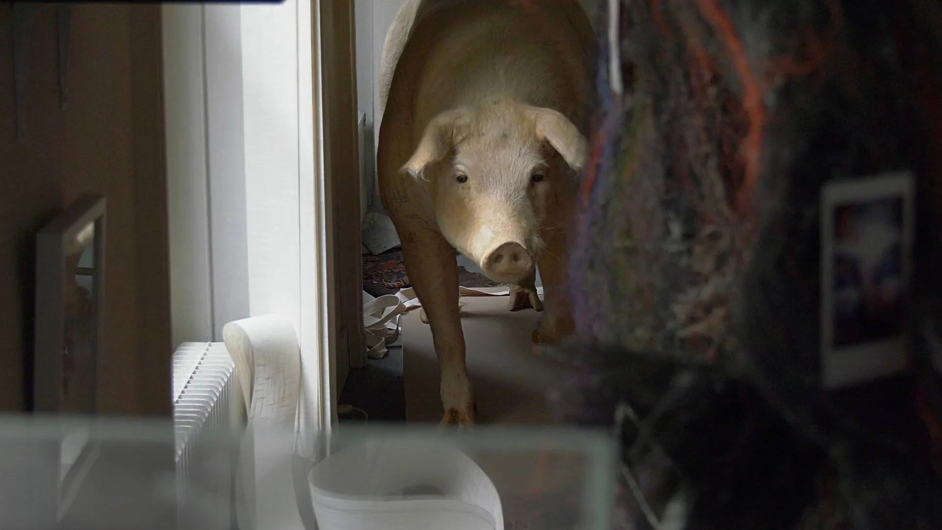 Jean Chatelus, l'œil qui accumule