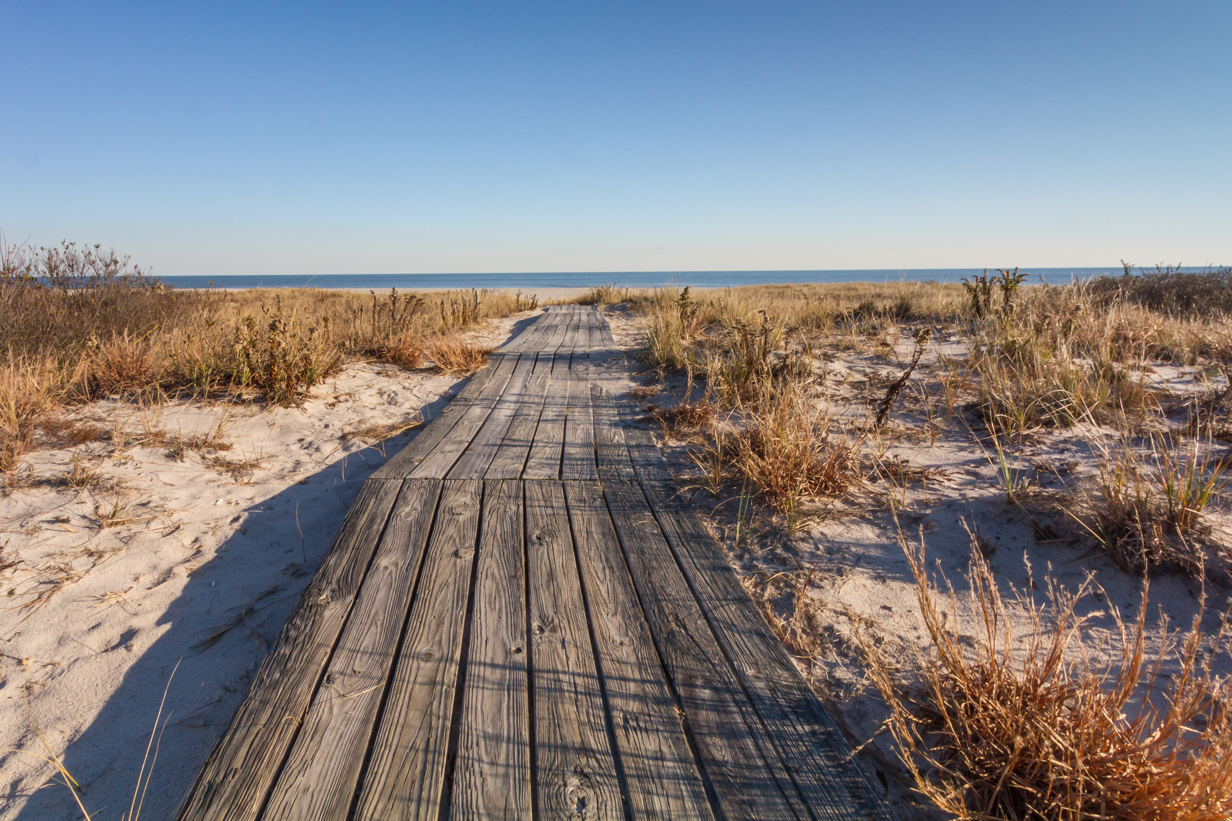AdobeStock_96478269.png