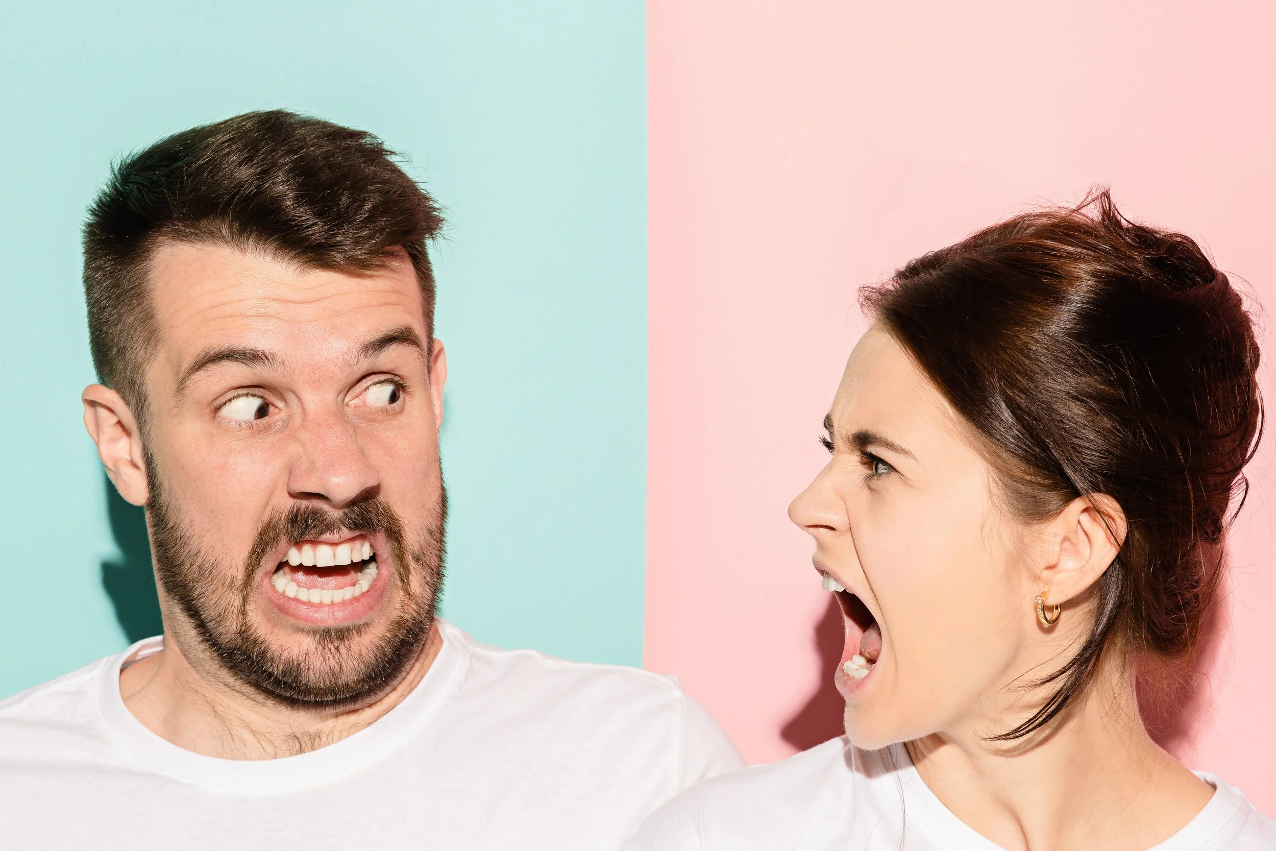 Should Couples Fight?