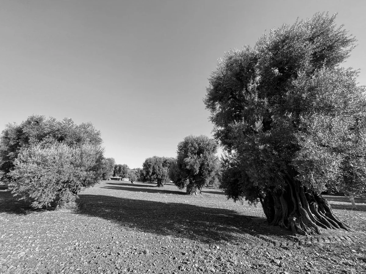 izatymkowphotography-1963.jpg