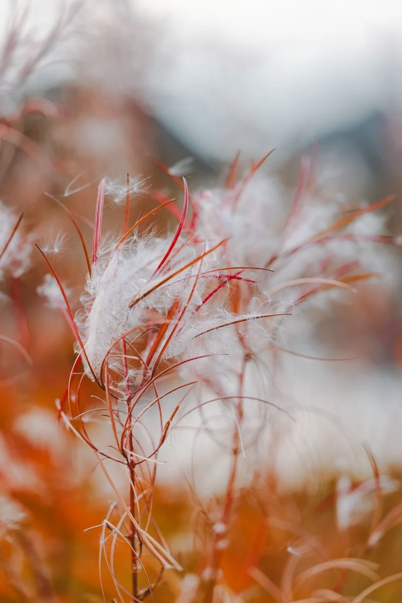 izatymkowphotography--124.jpg