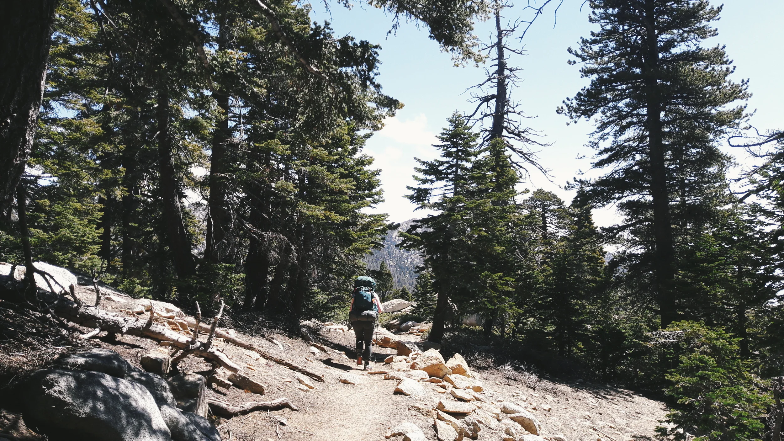 8 metallic poles in a thunder storm
