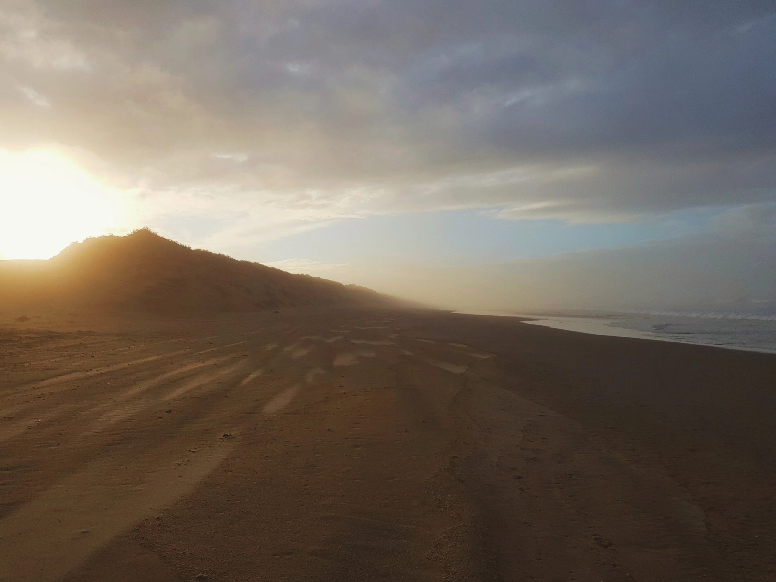 processed_2019-11-10 08.34.42 1.jpg