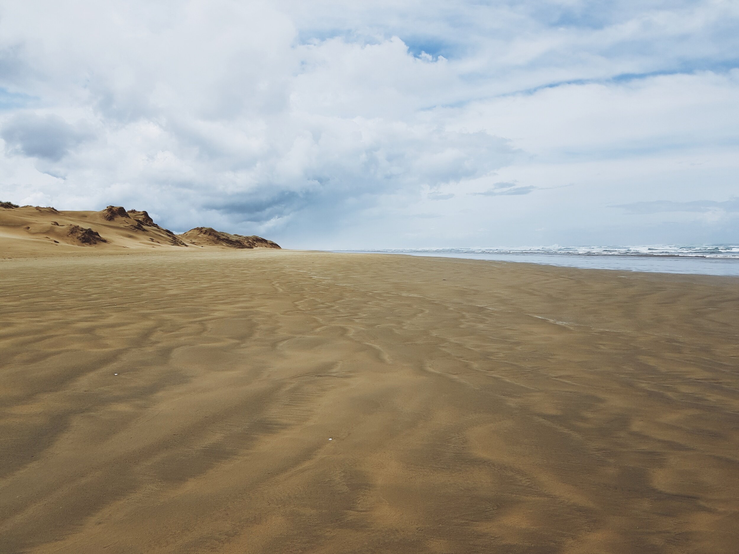 processed_2019-11-10 08.31.38 1.jpg