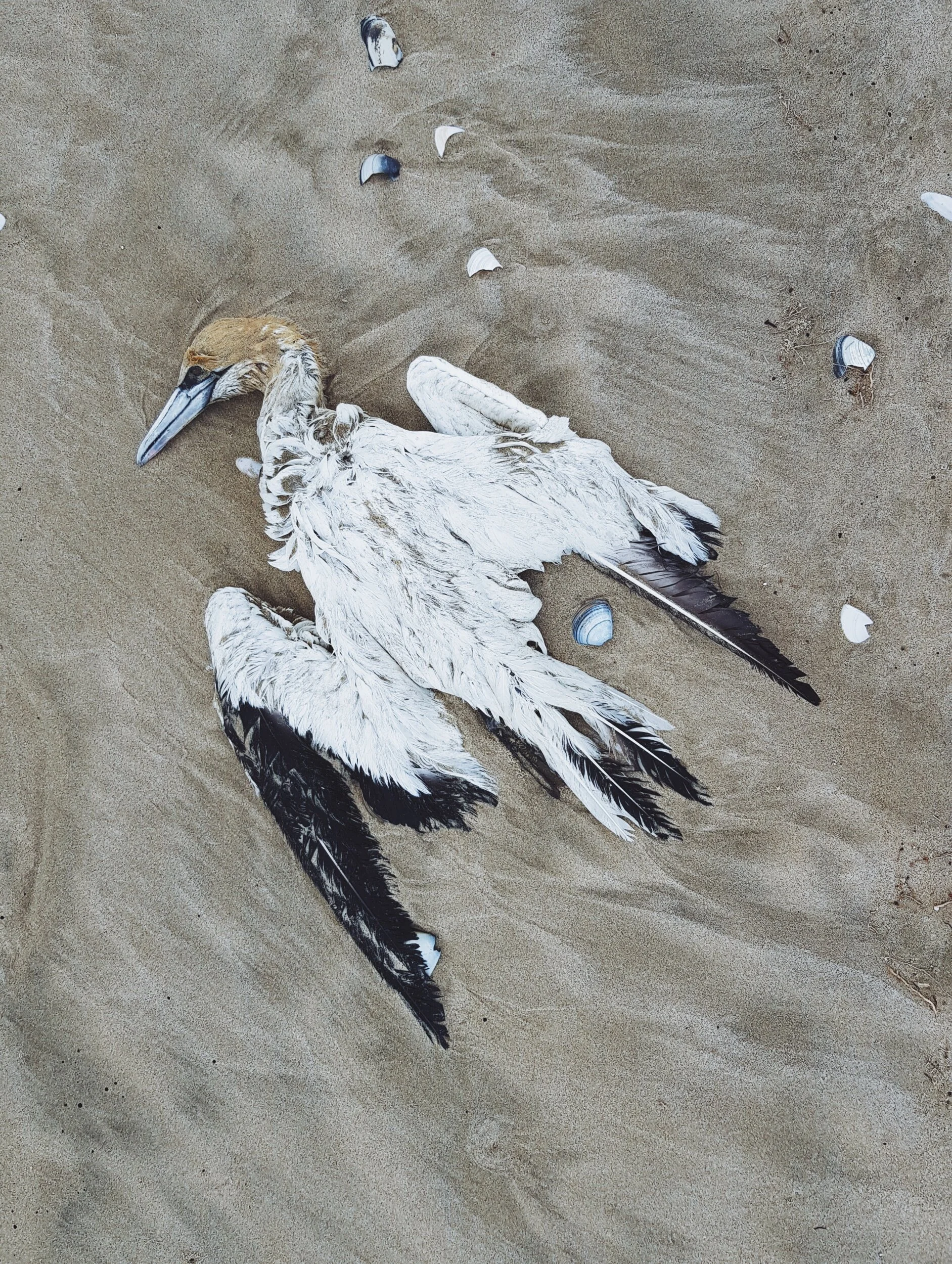 processed_2019-11-10 08.27.28 1.jpg