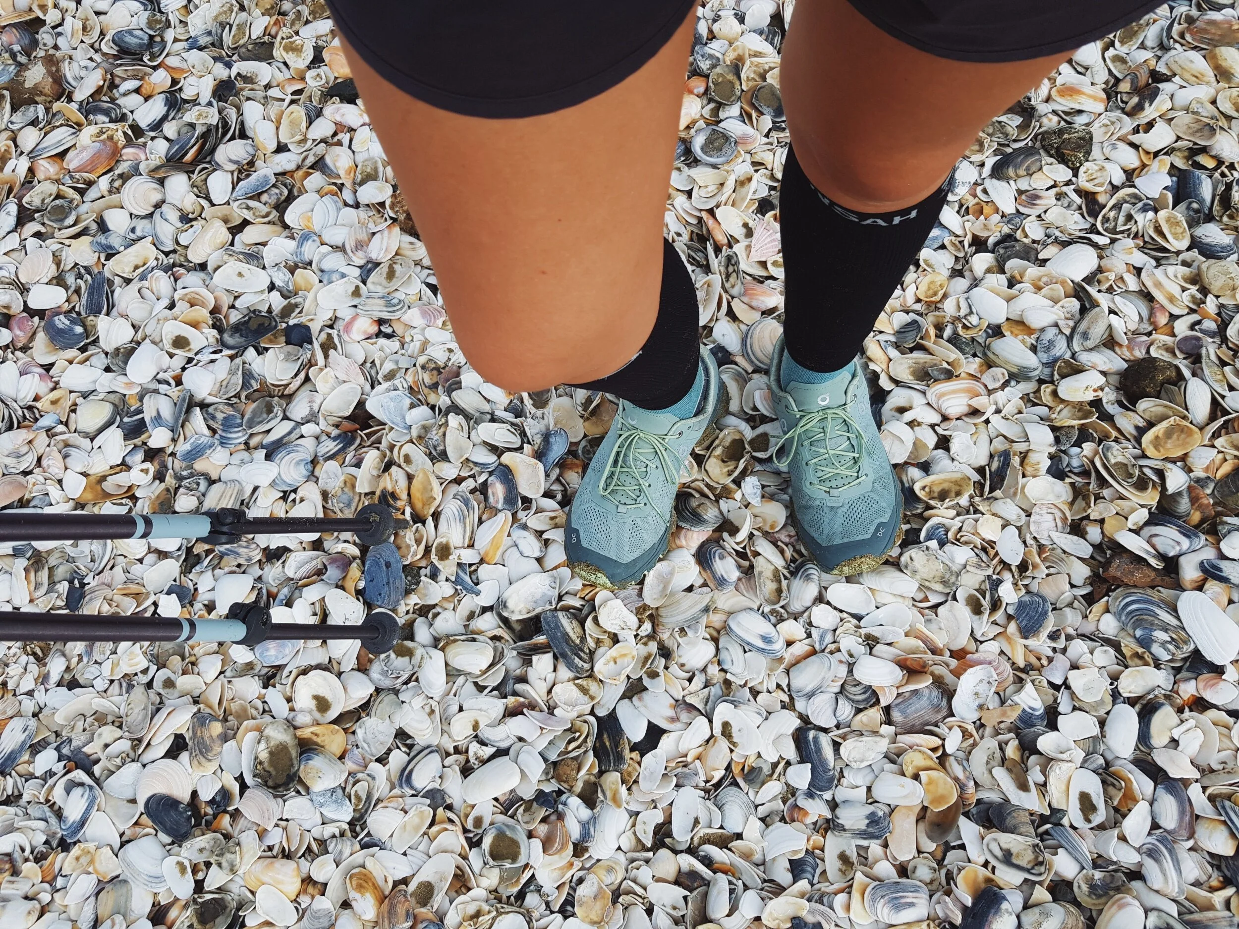 processed_2019-11-10 08.26.15 1.jpg