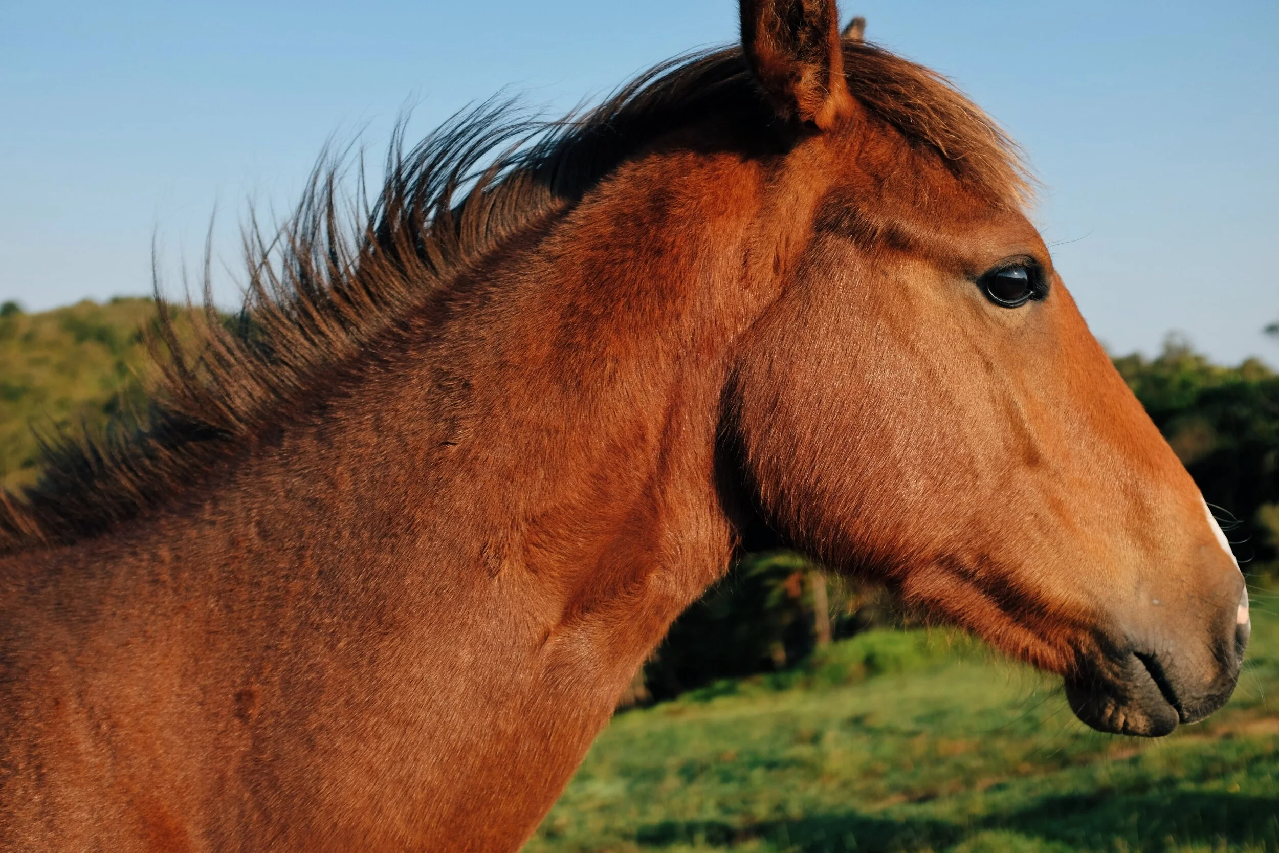 processed_2019-12-06 04.32.11 1.jpg