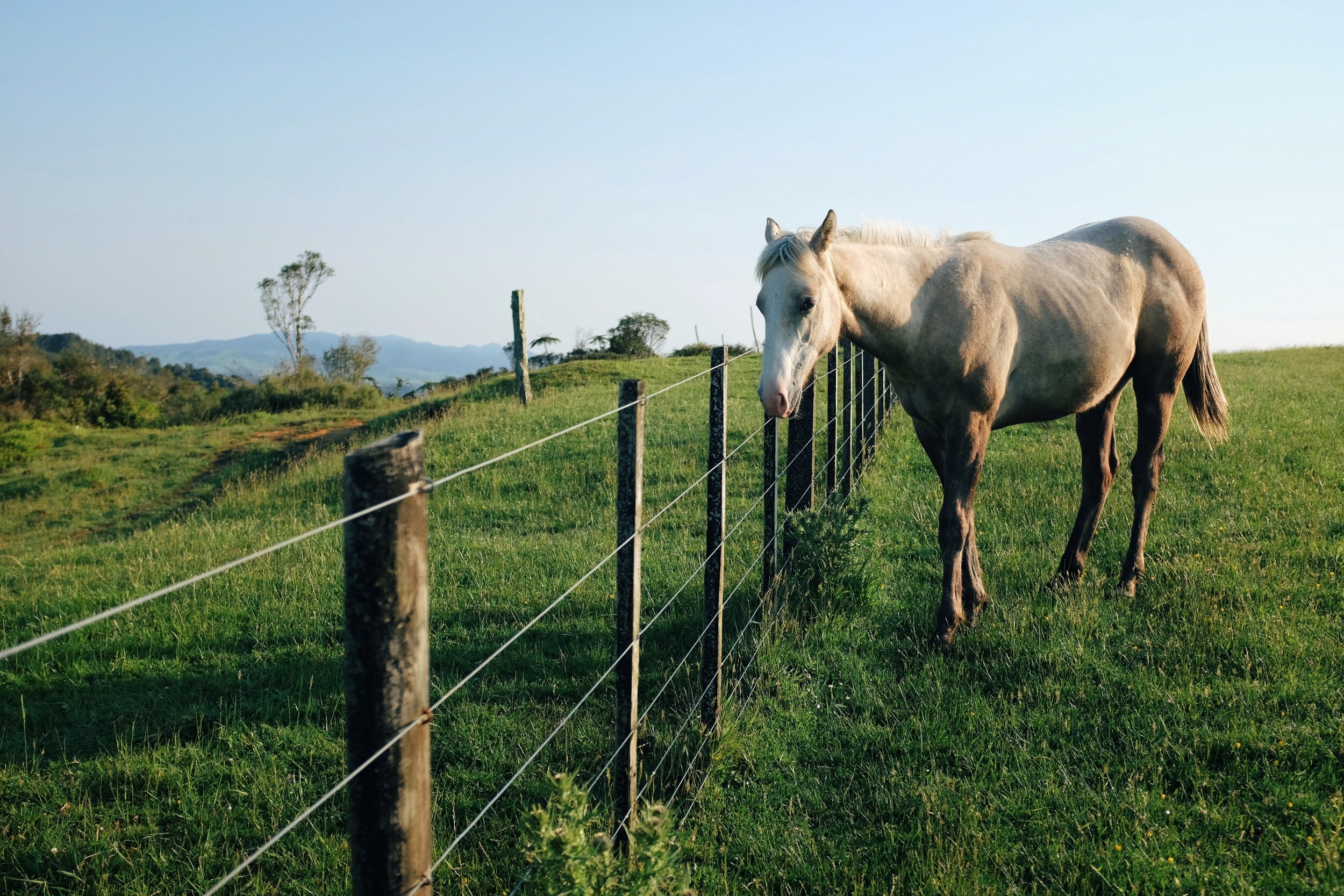 processed_2019-12-06 04.31.02 2.jpg