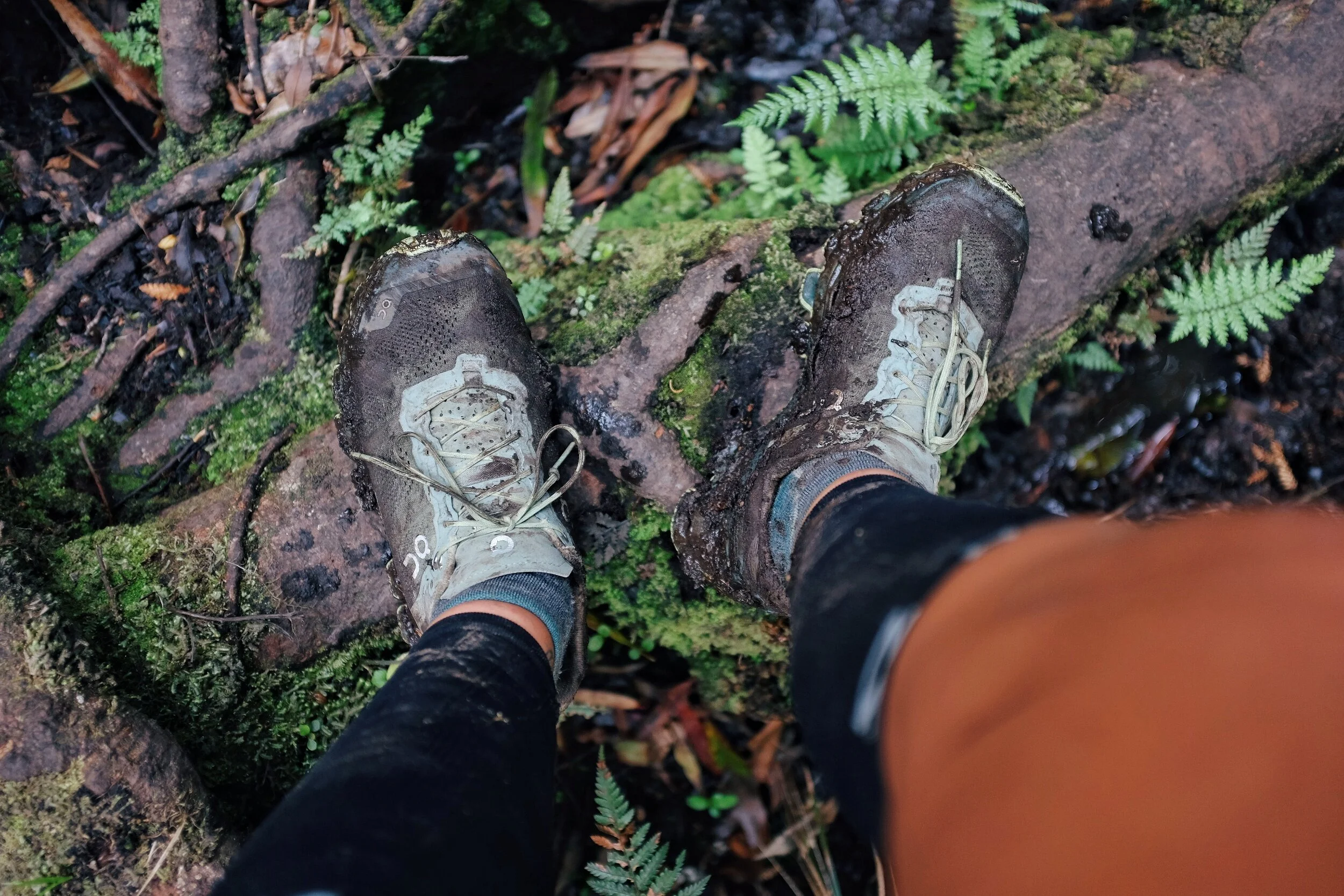 processed_2019-12-05 08.26.38 1.jpg