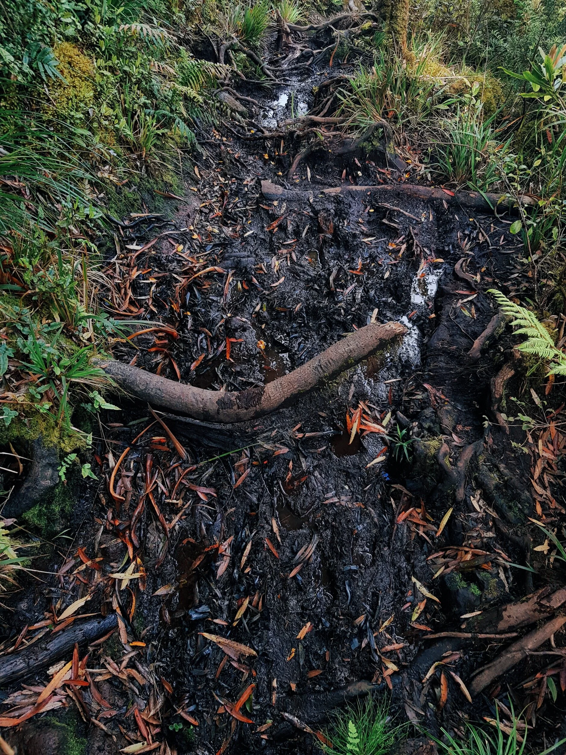 And of course… more mud.