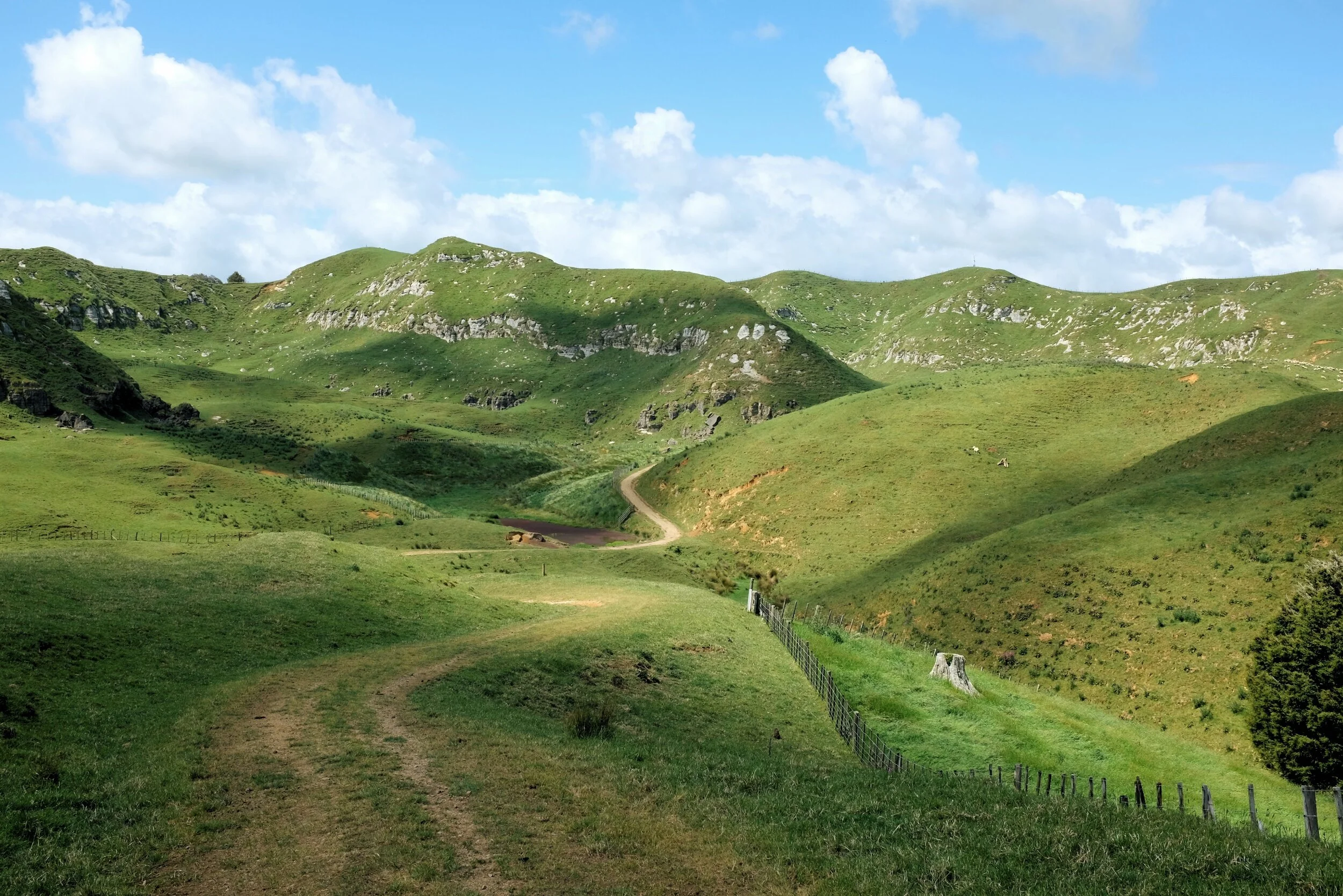 processed_2019-12-05 08.25.51 2.jpg