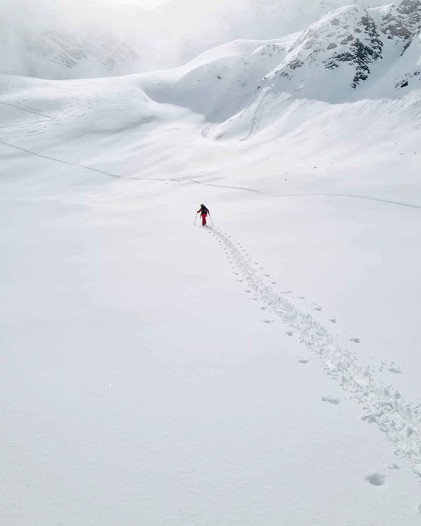 Got a couple more winter adventures planned and then we're finally back to hiking season. Can't wait to get back on trail.

@suseheinz forging her own path ✊ 

#womenwhowander #womenwhowandercollective #skitouring #mountainlove #mountains #switzerlan