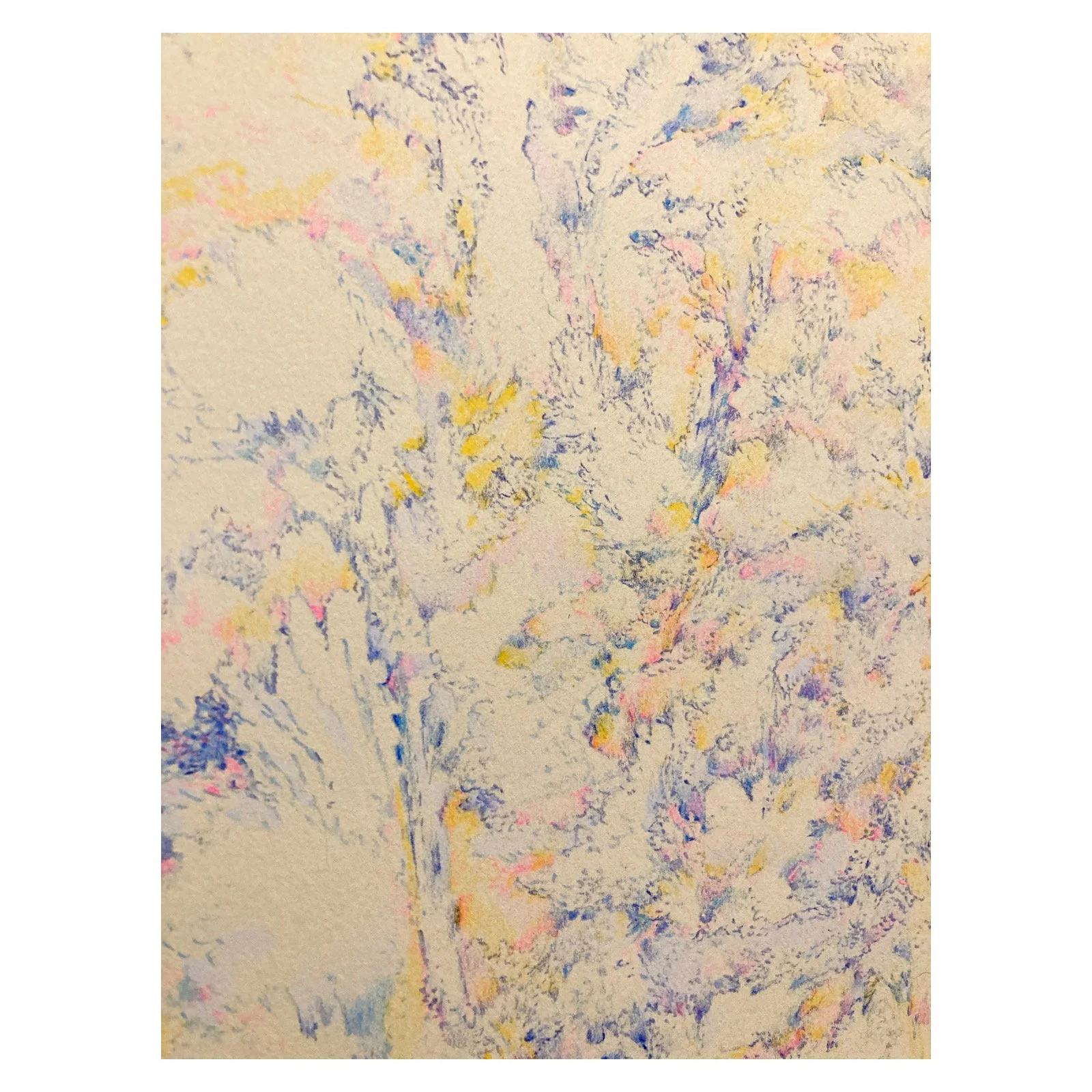 Whitagram-Image (3).JPG