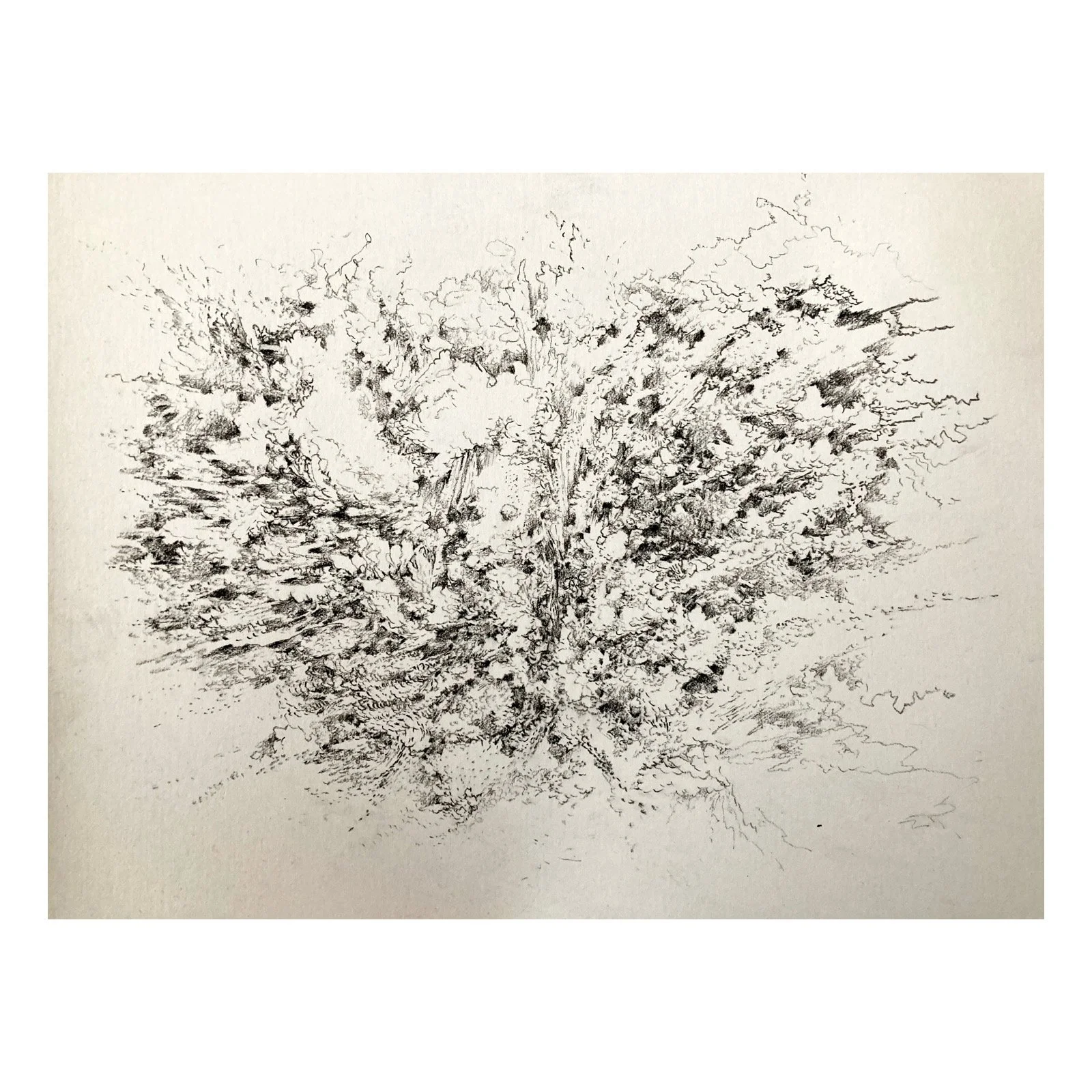 Whitagram-Image (7).JPG