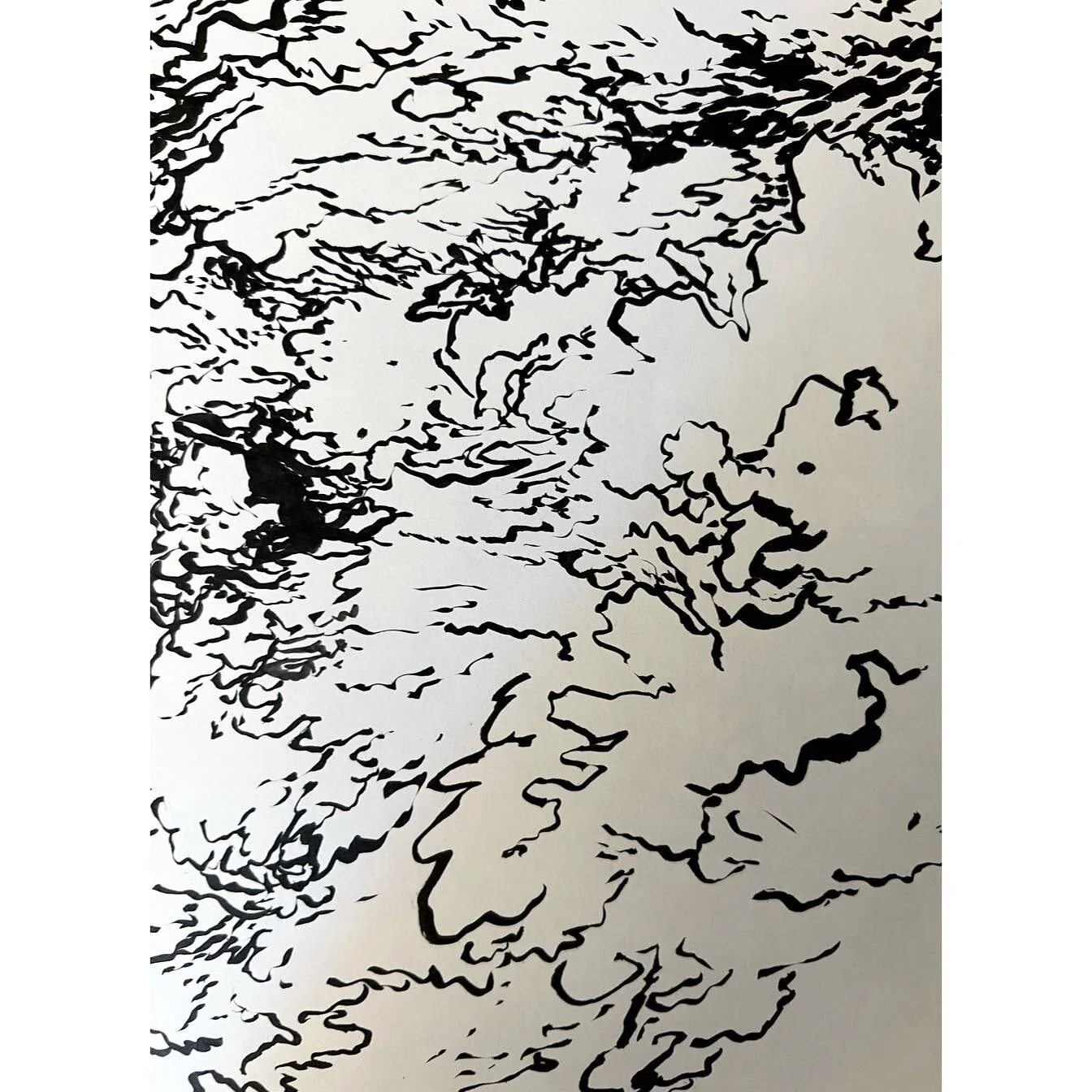 like trying to draw a map of the inside of your eyes