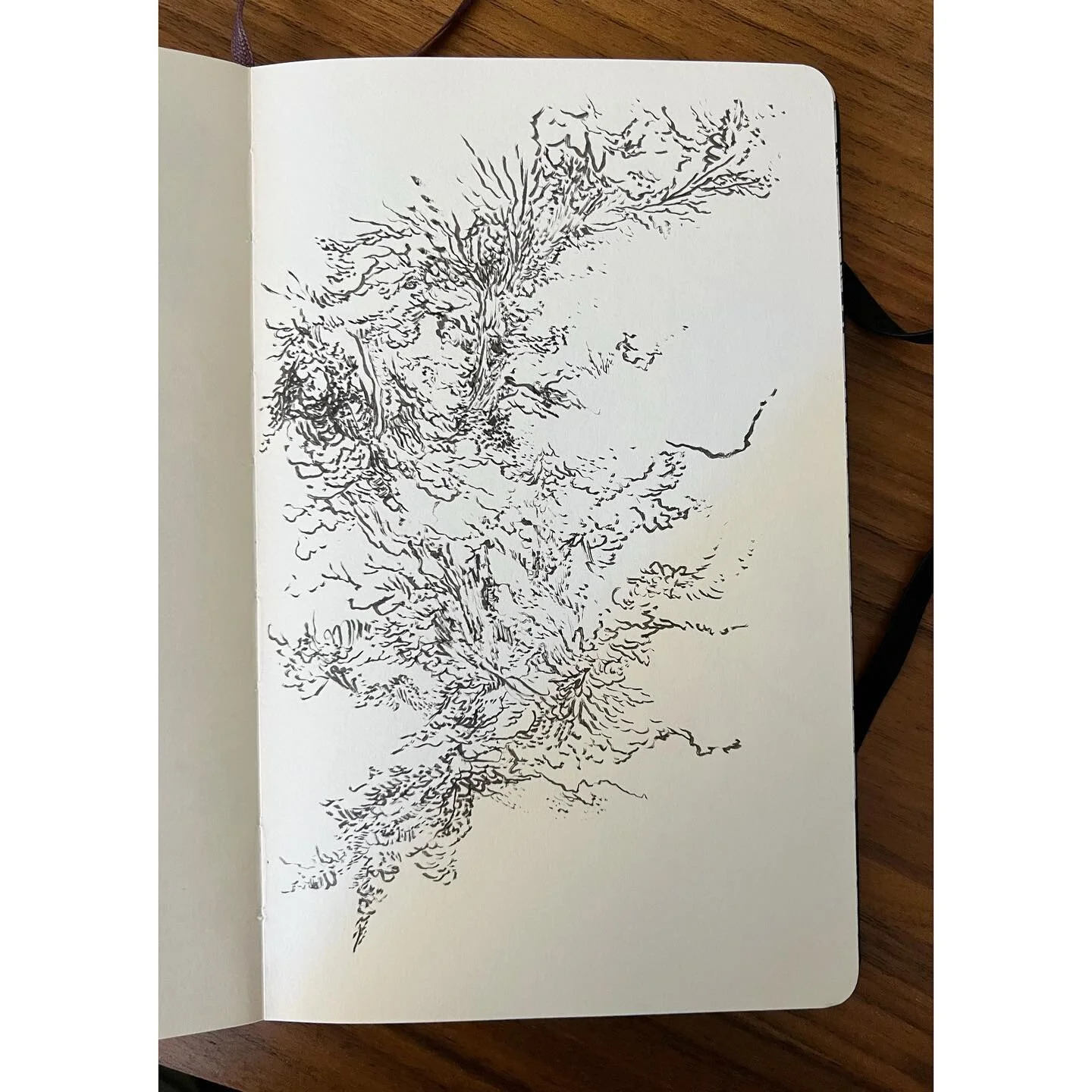 draw a line make it mine