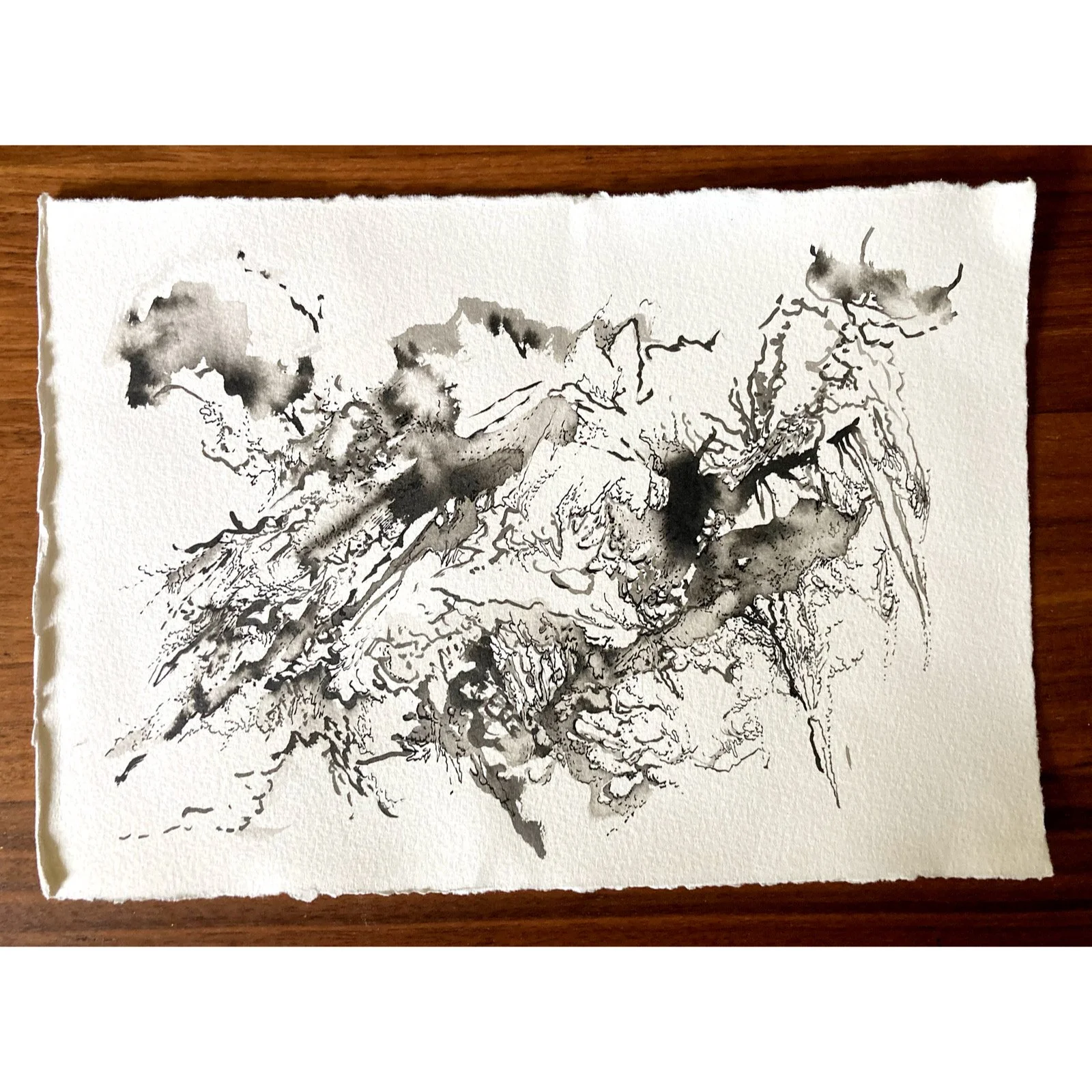 Whitagram-Image 13.jpg