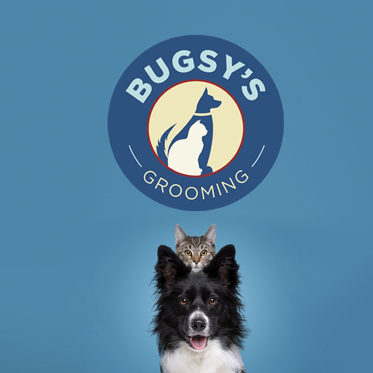 Bugsy's Grooming