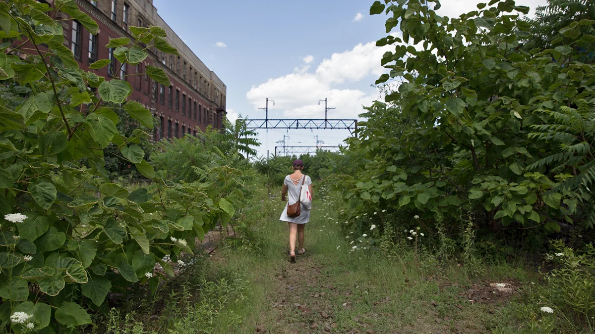 Photos: Re-imagining abandoned train line as Rail Park