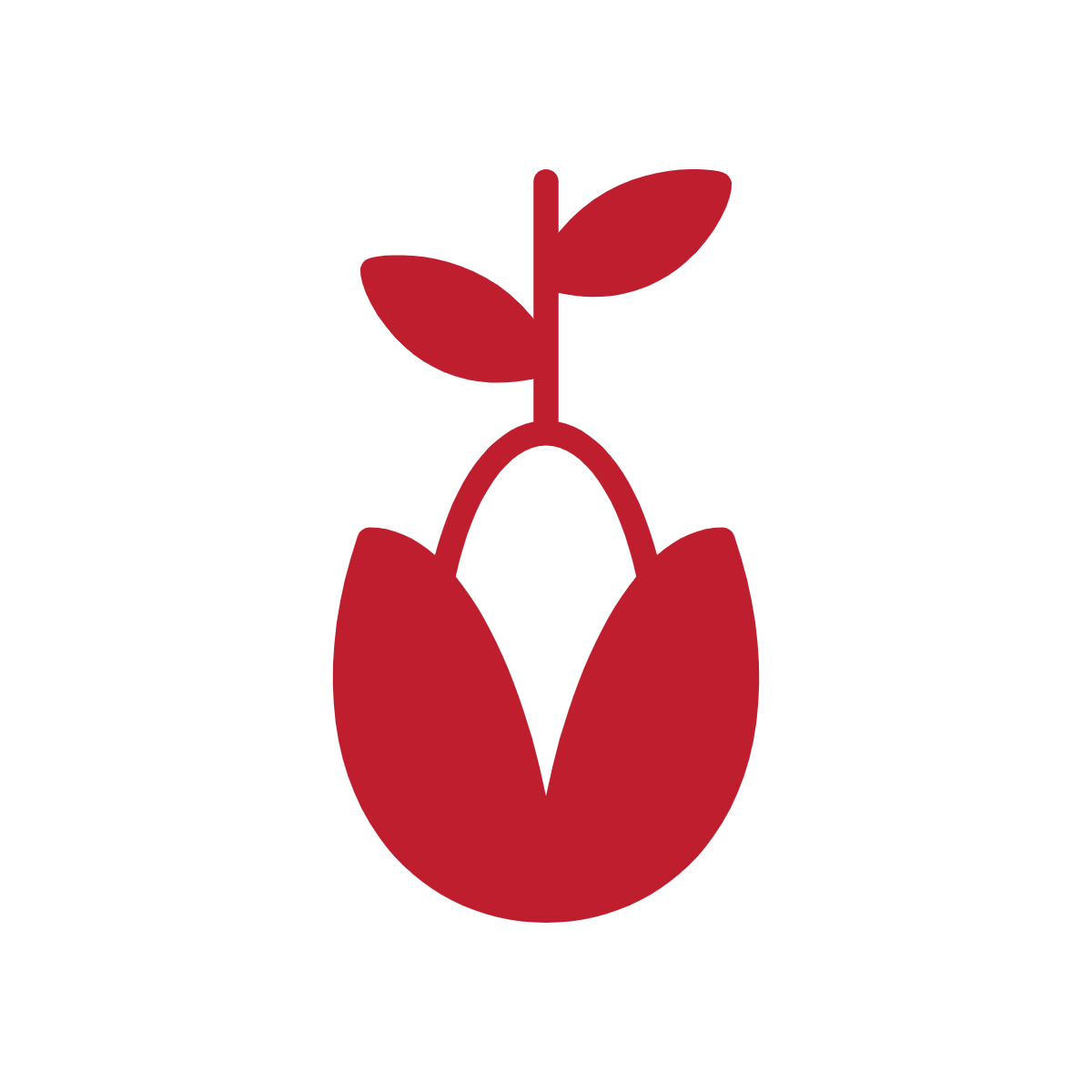 Seed action - cycle of escalation.png