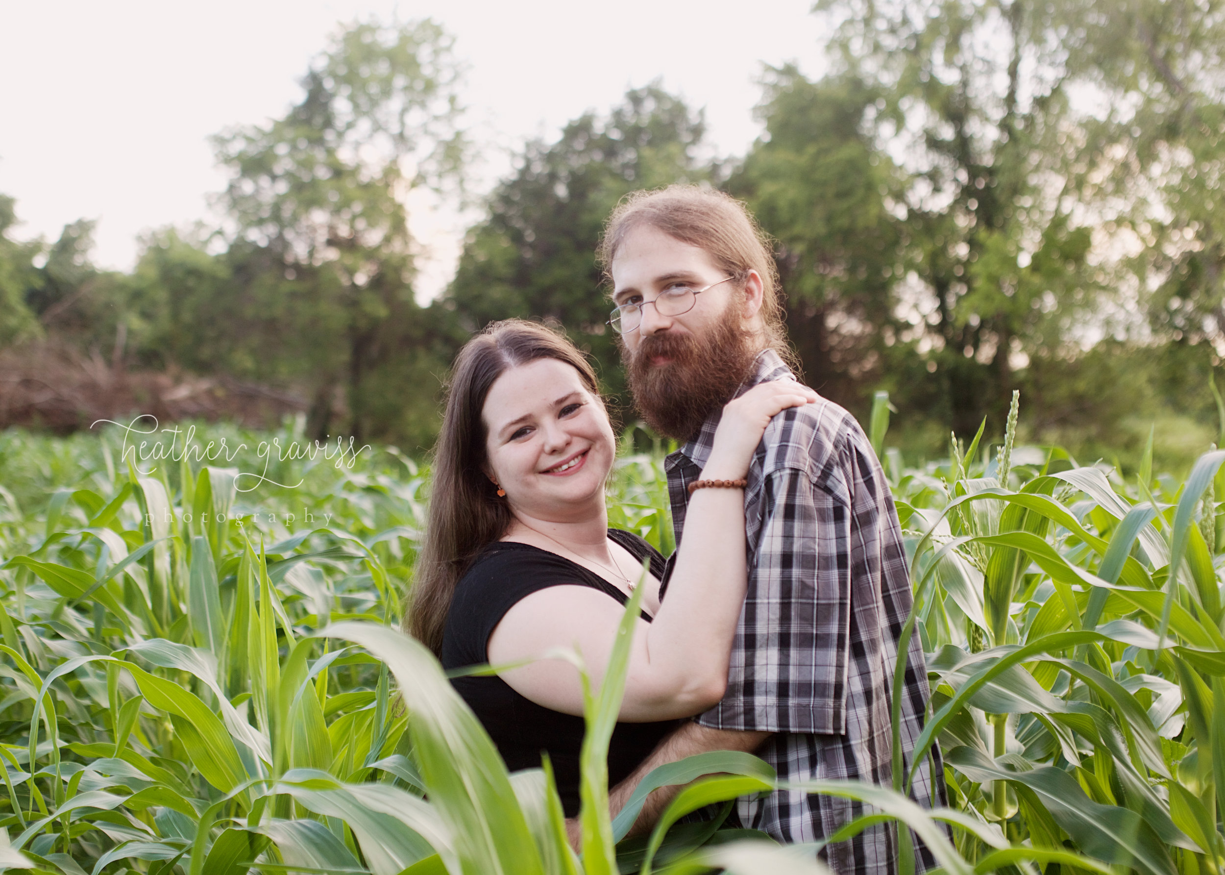 love-in-the-cornfield.jpg