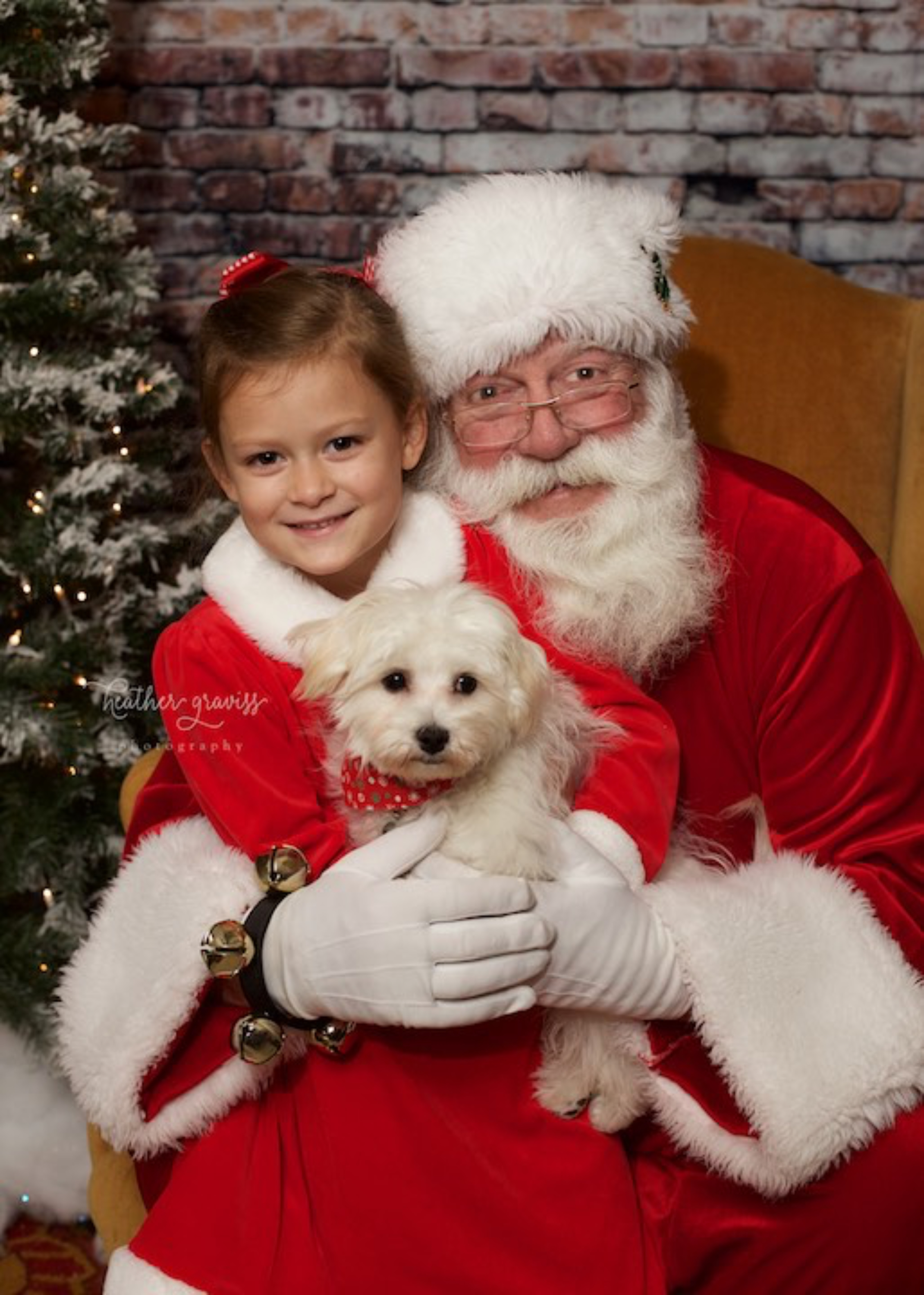 santa-loves-dogs.jpg