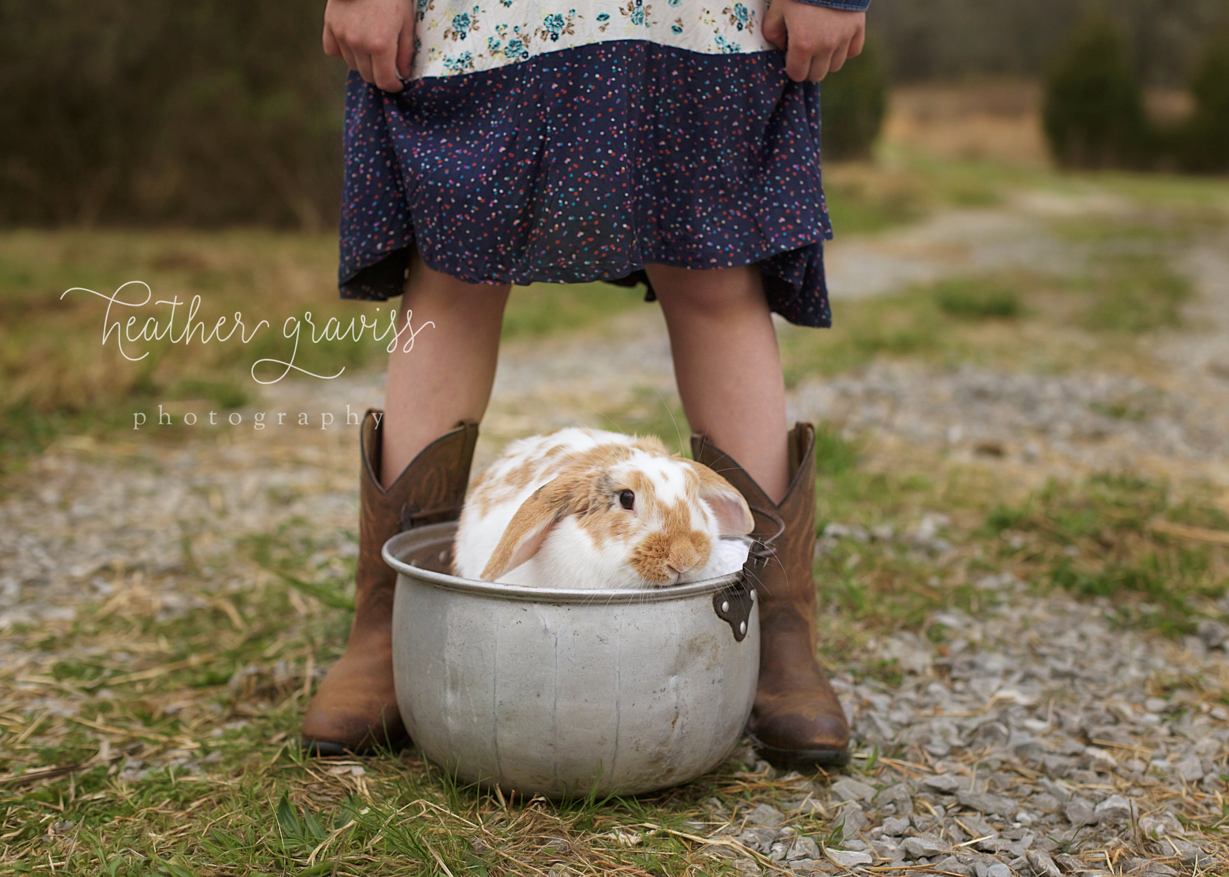 bunny-in-a-bucket.jpg