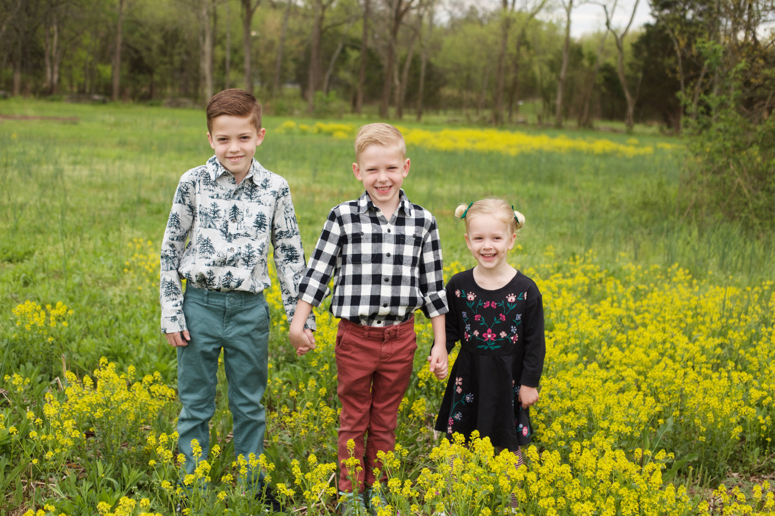 siblings-in-the-meadow.jpg