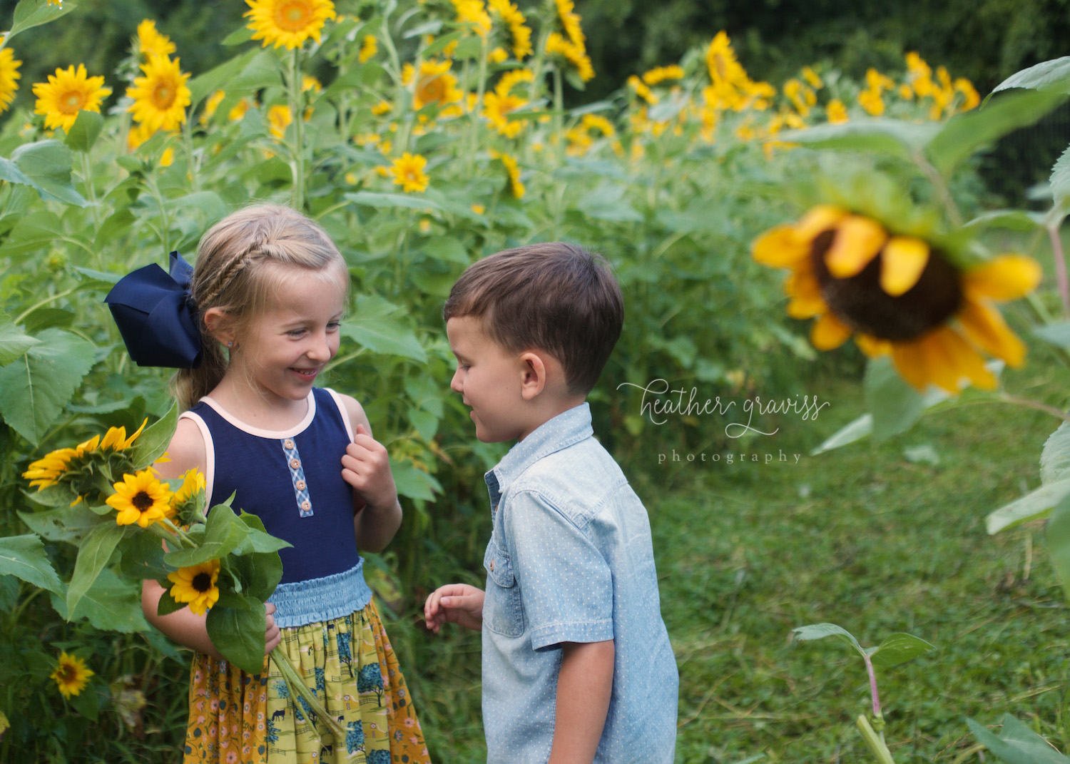 in-the-sunflower-field.jpg