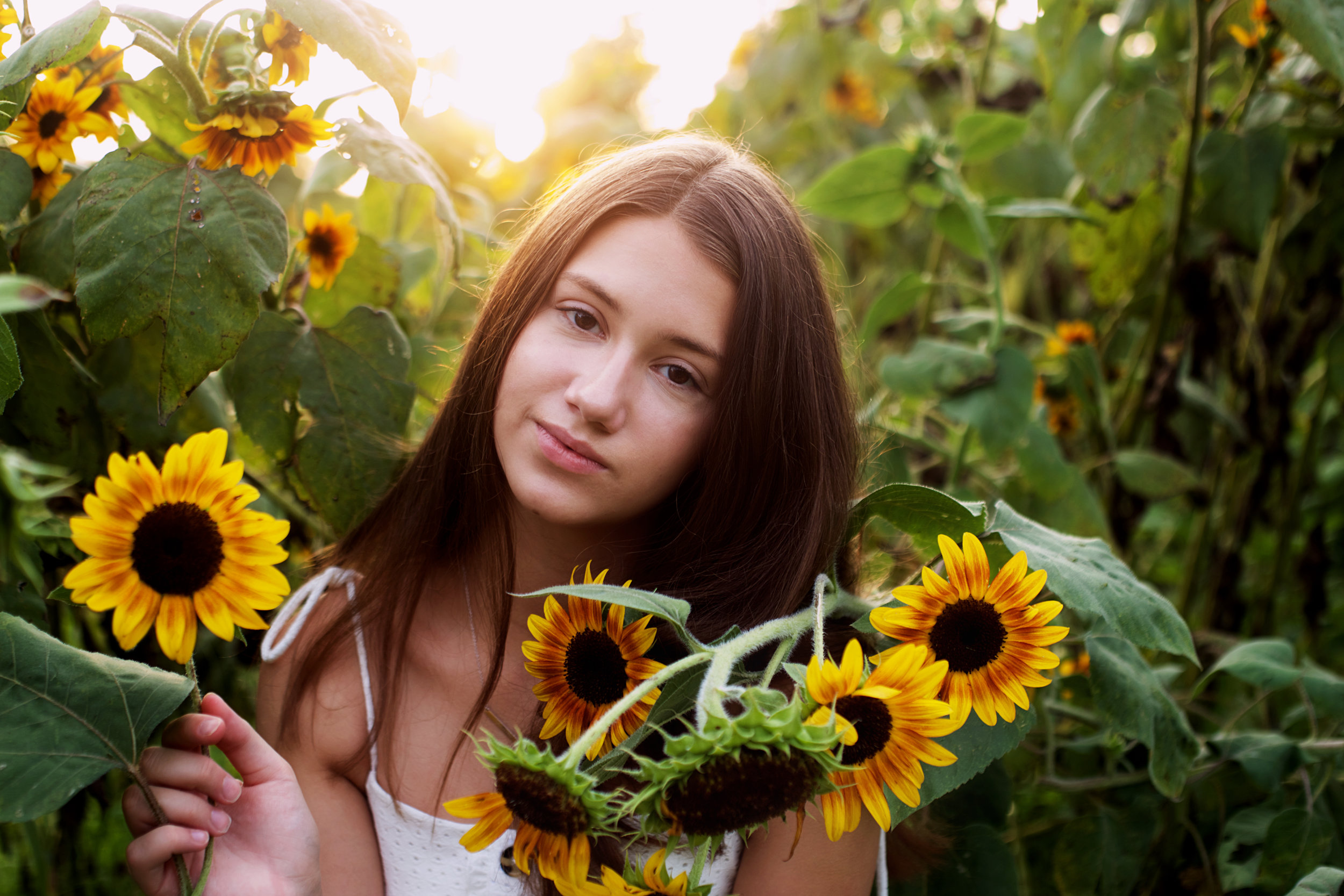 beautiful-sunflowers.jpg