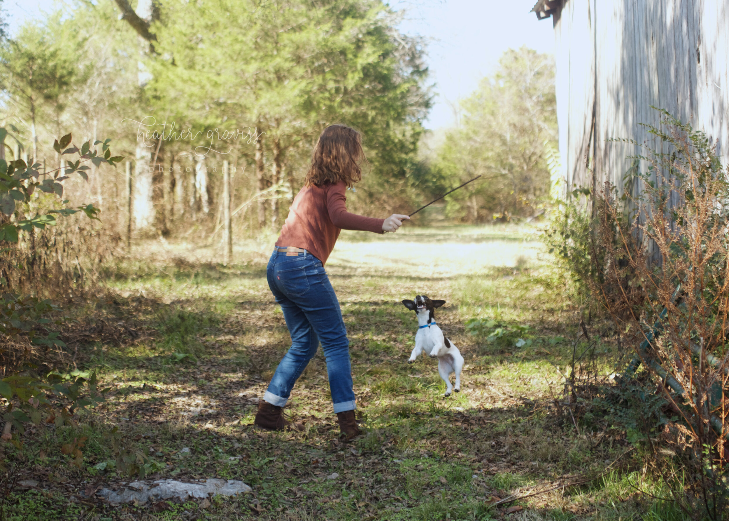 jumping-jack-russel.jpg