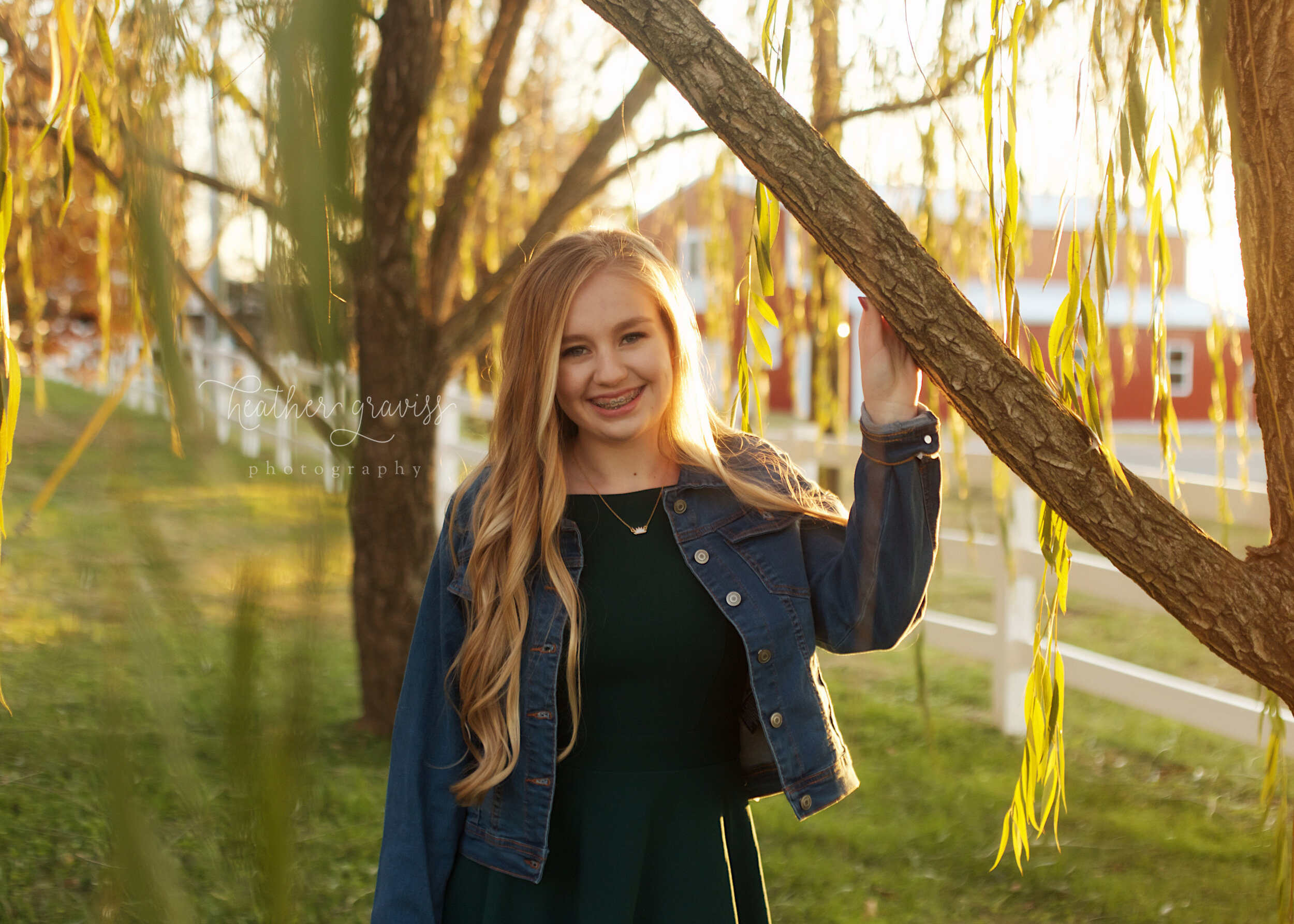 under-the-weeping-willow.jpg