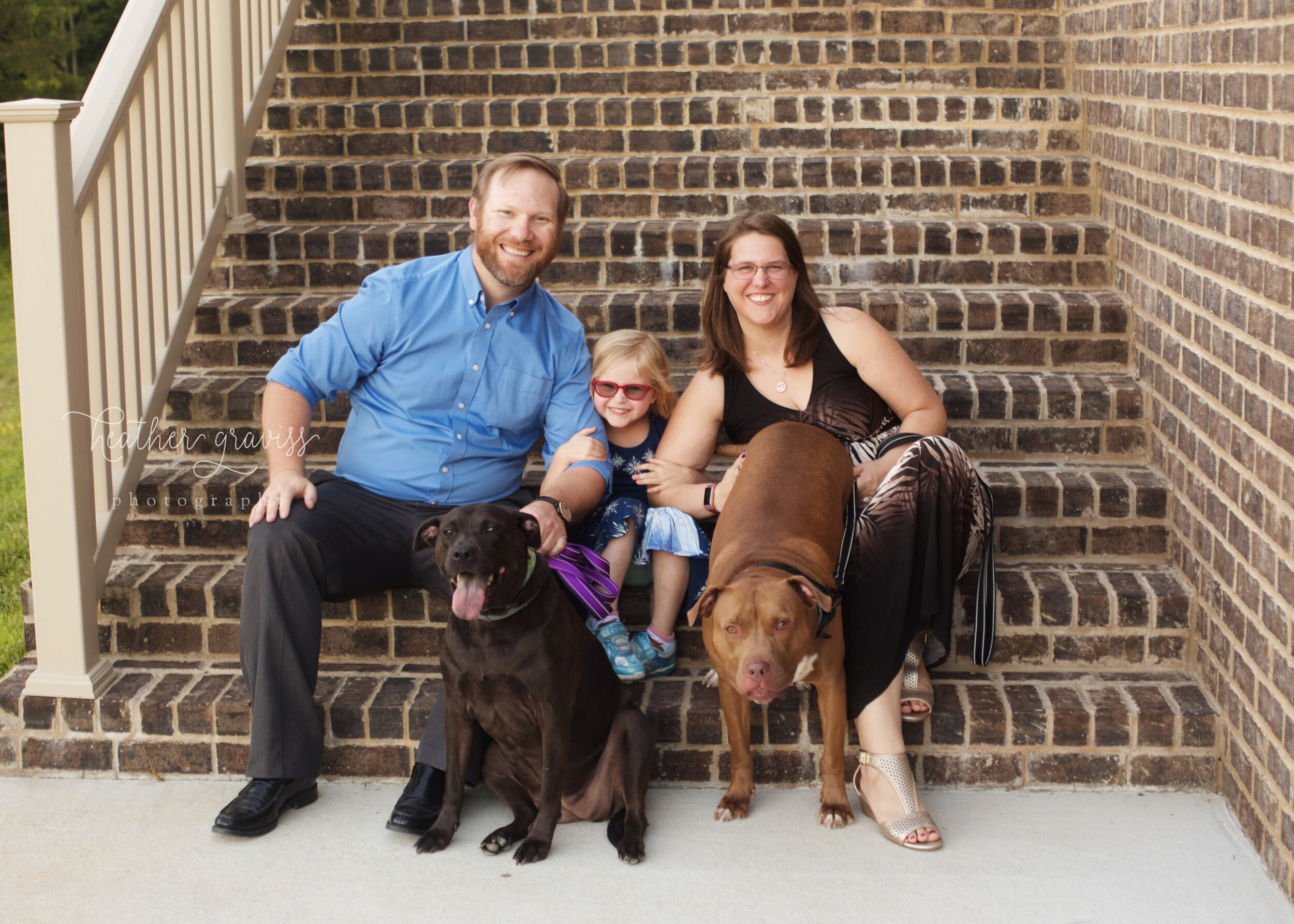 porch-with-dogs.jpg