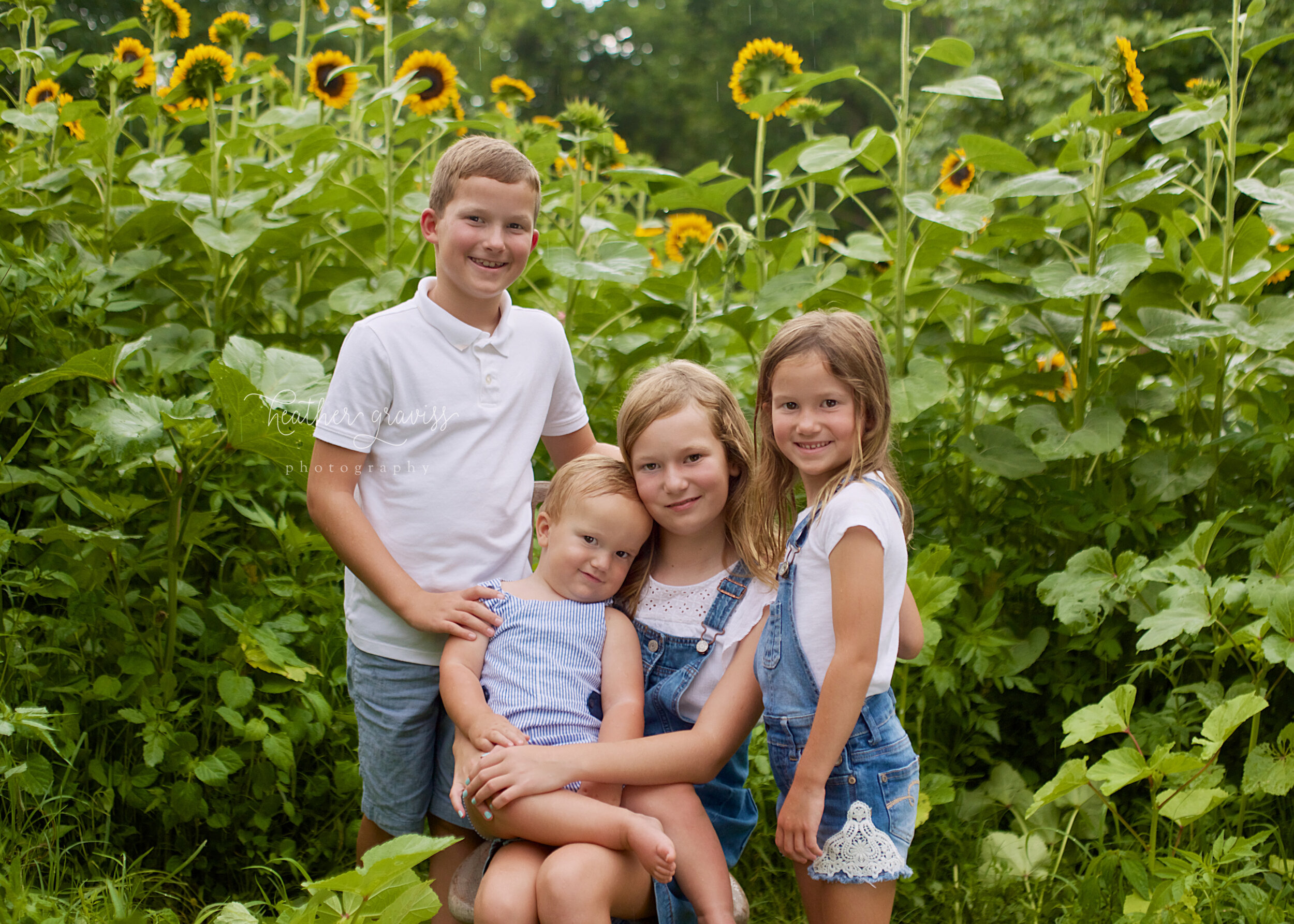 the-tall-sunflowers.jpg