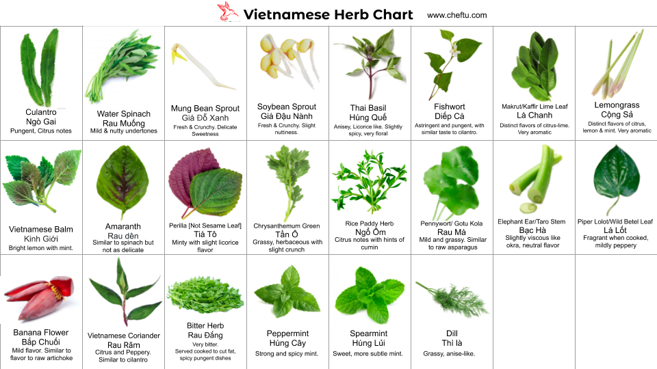 Stories — Chef Tu David Phu Vietnamese American Diaspora Cuisine