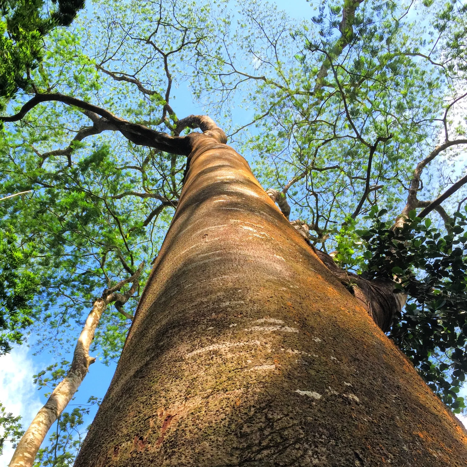 The Limitations of Expectations 