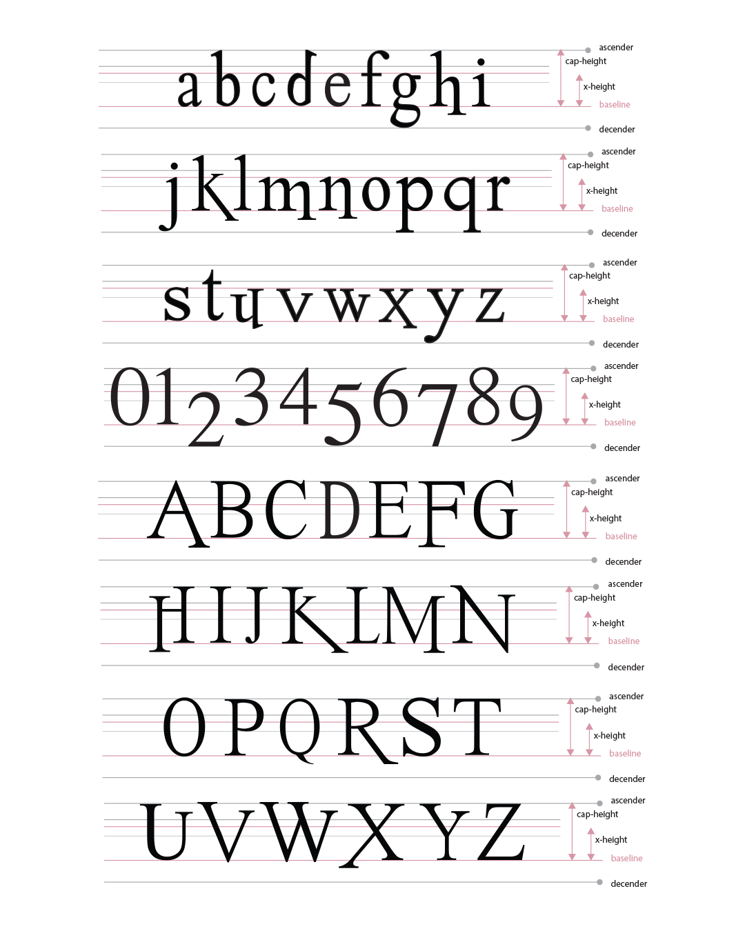 A chart showing the alphabet and numbers with labeled proportions including baseline, x-height, cap-height, ascender, and descender for each character.