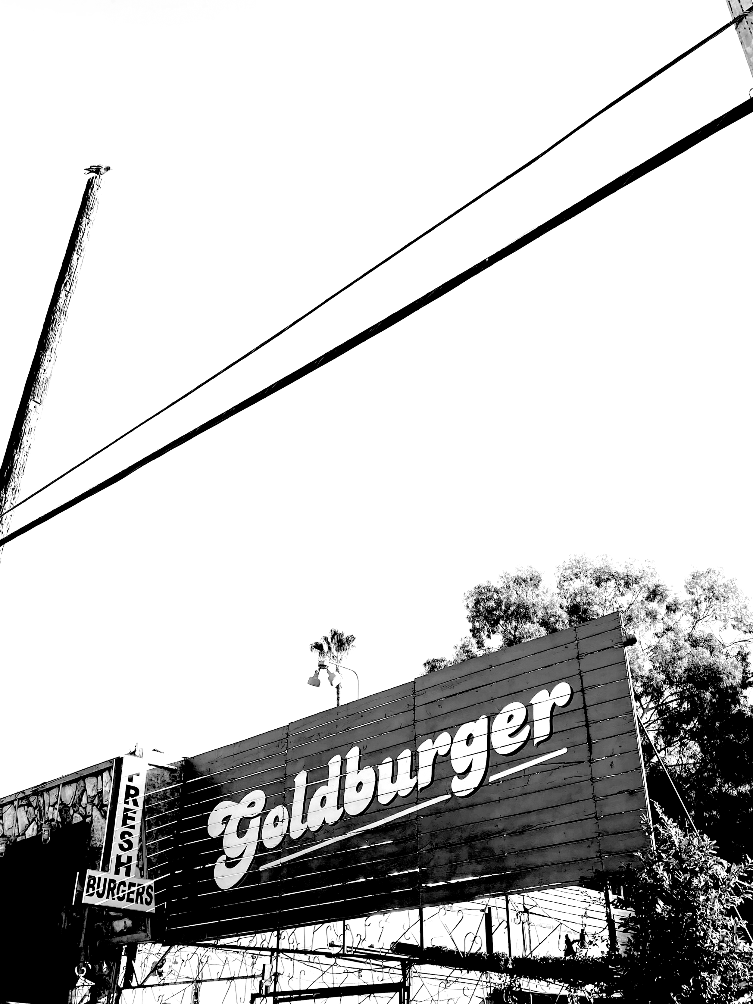GOLDBURGER (Copy)