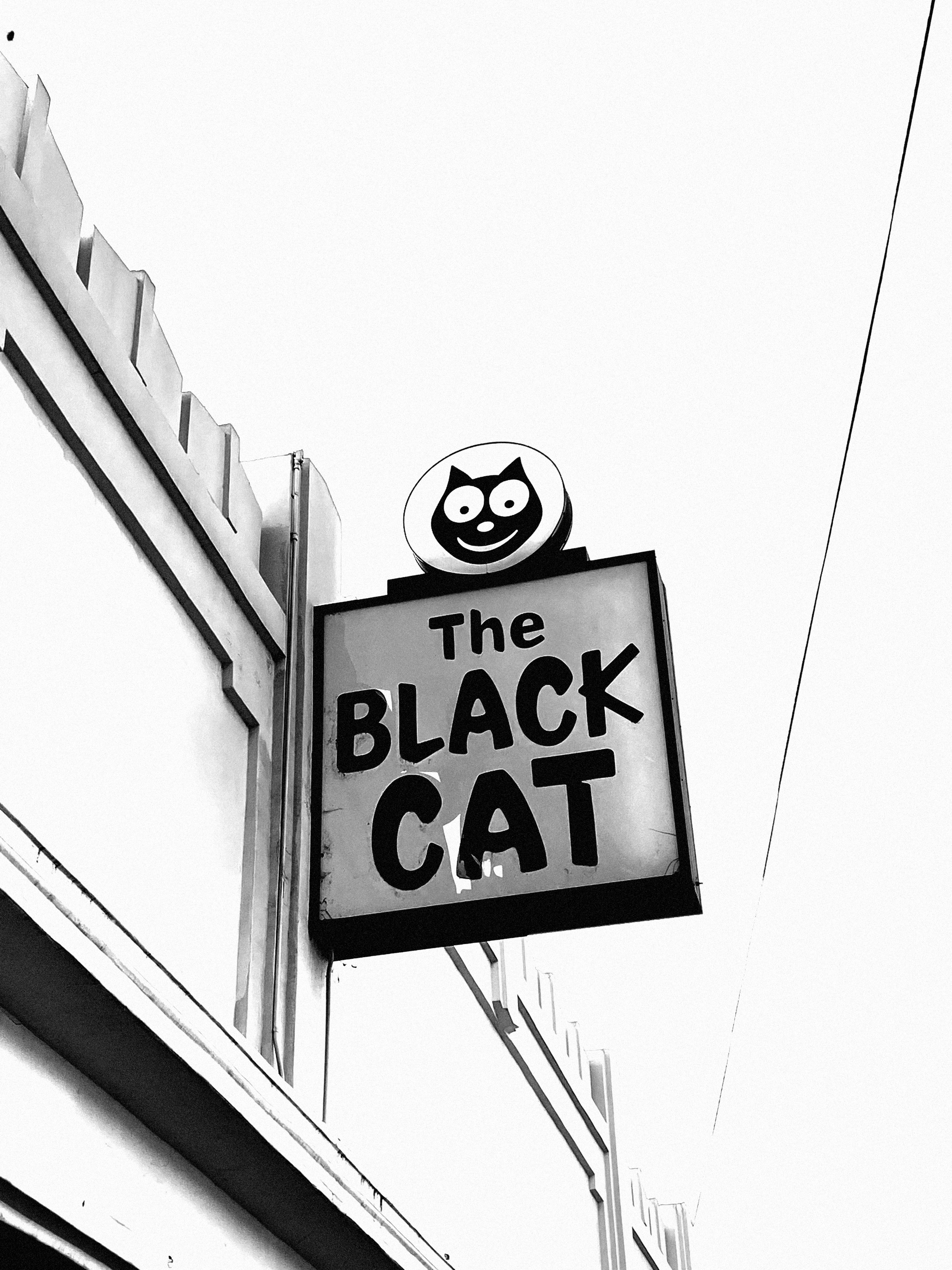 THE BLACK CAT (Copy)
