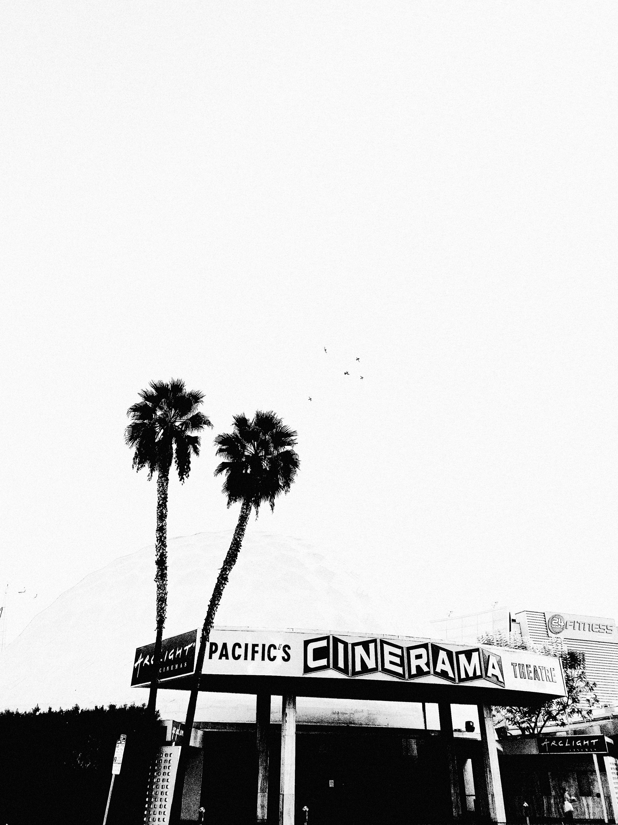ARCLIGHT (Copy)