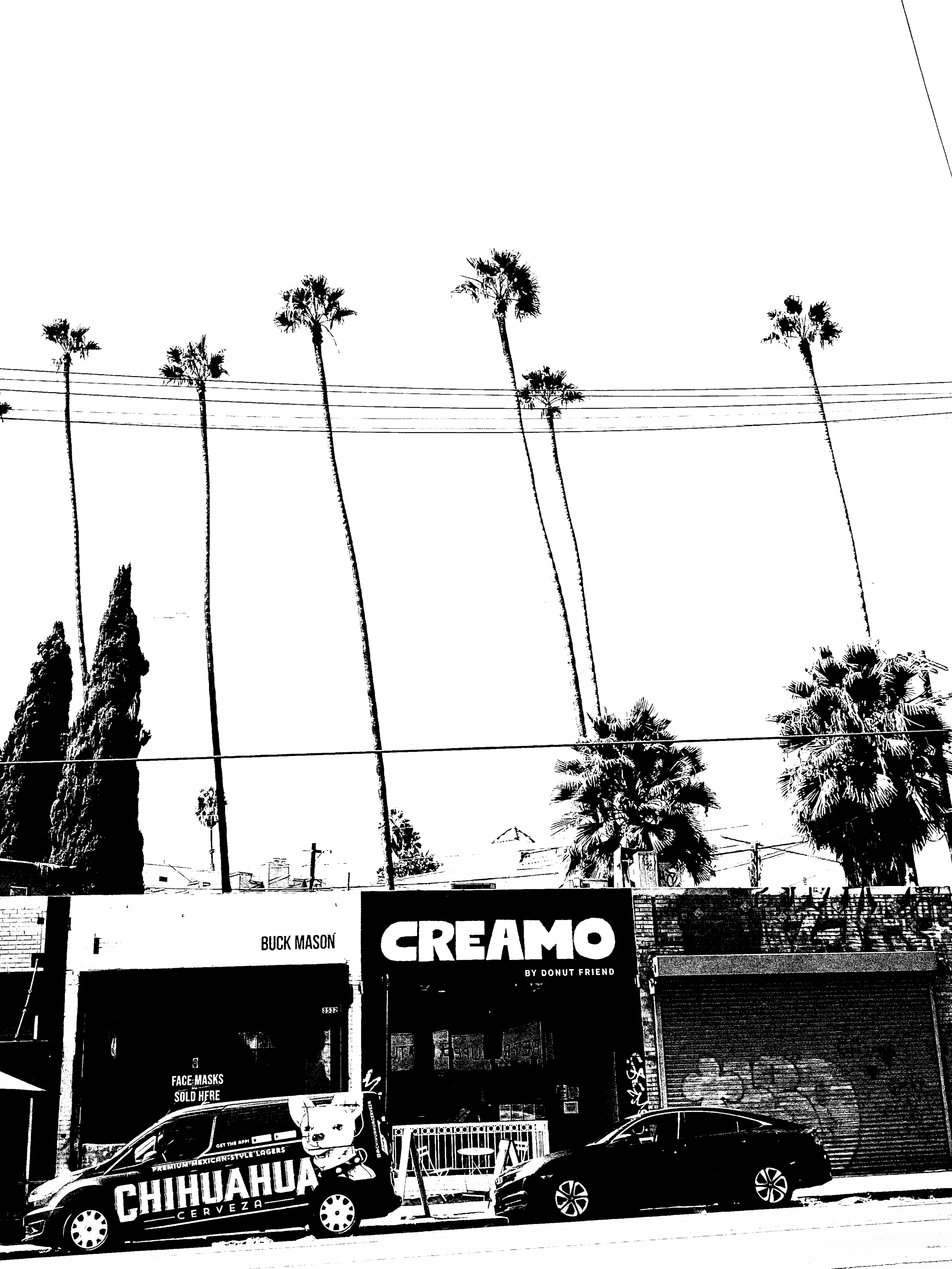 CREAMO (Copy)