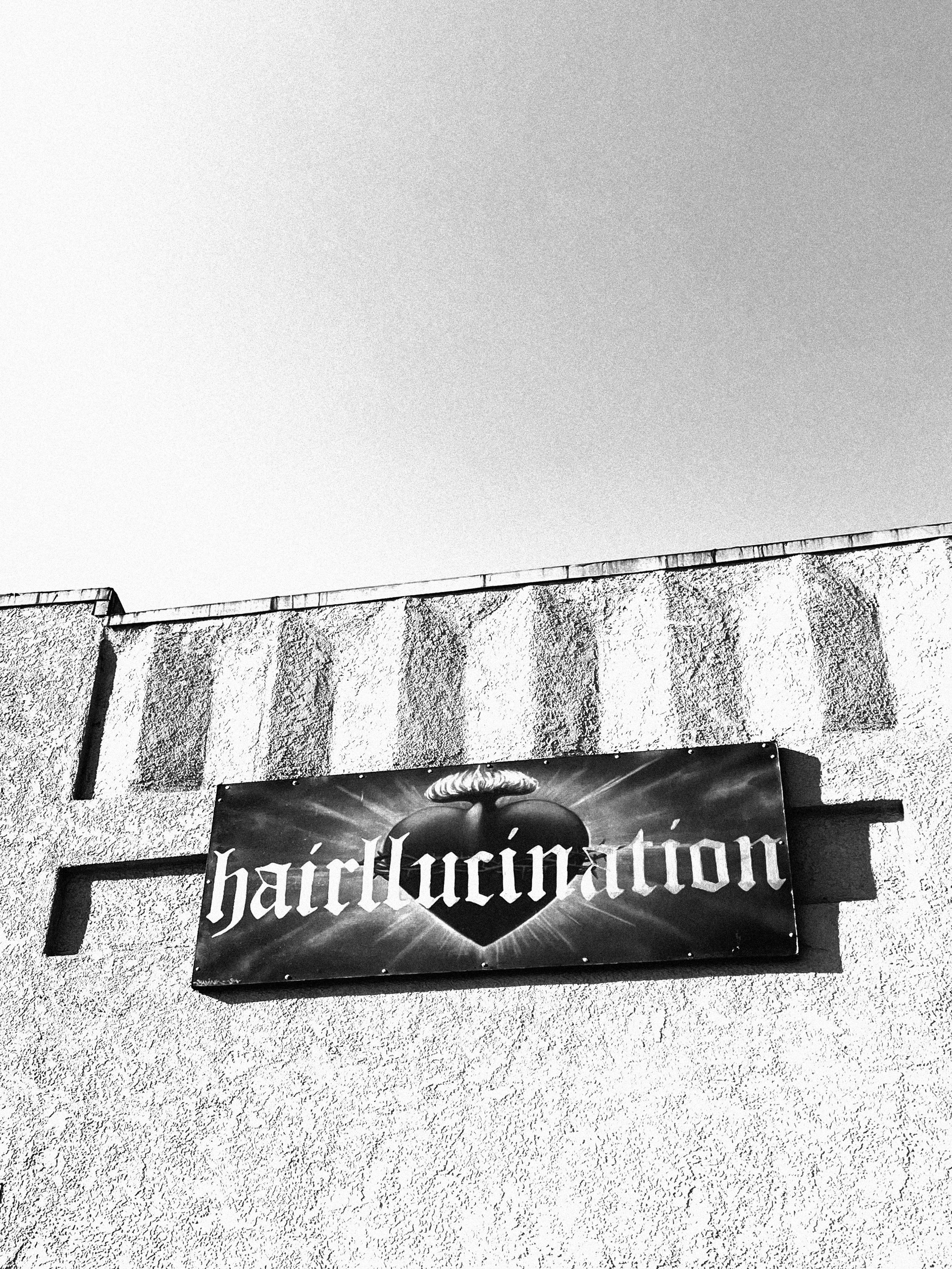 HAIRLLUCINATION (Copy)