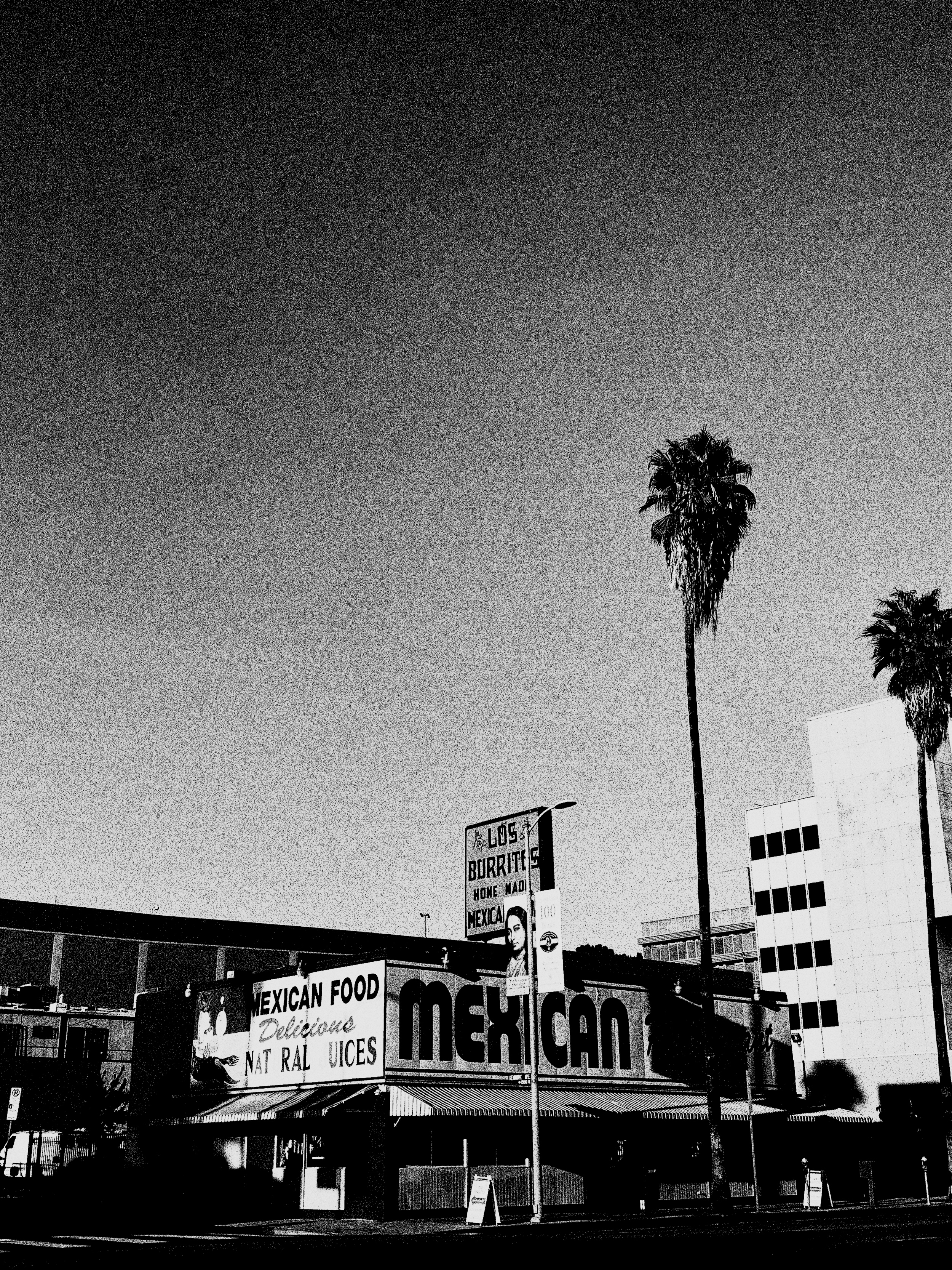 LOS BURRITOS (Copy)
