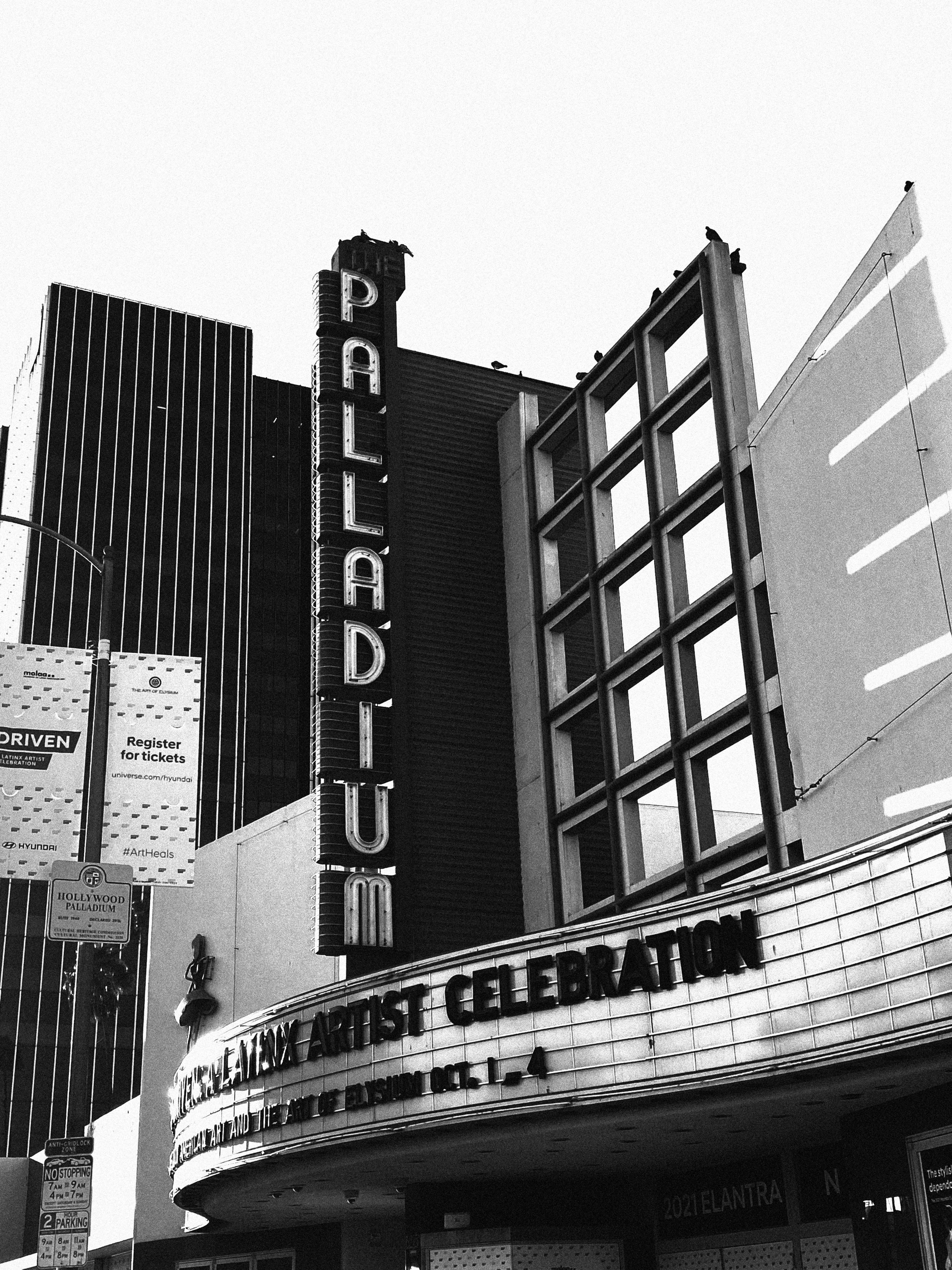 PALLADIUM (Copy)