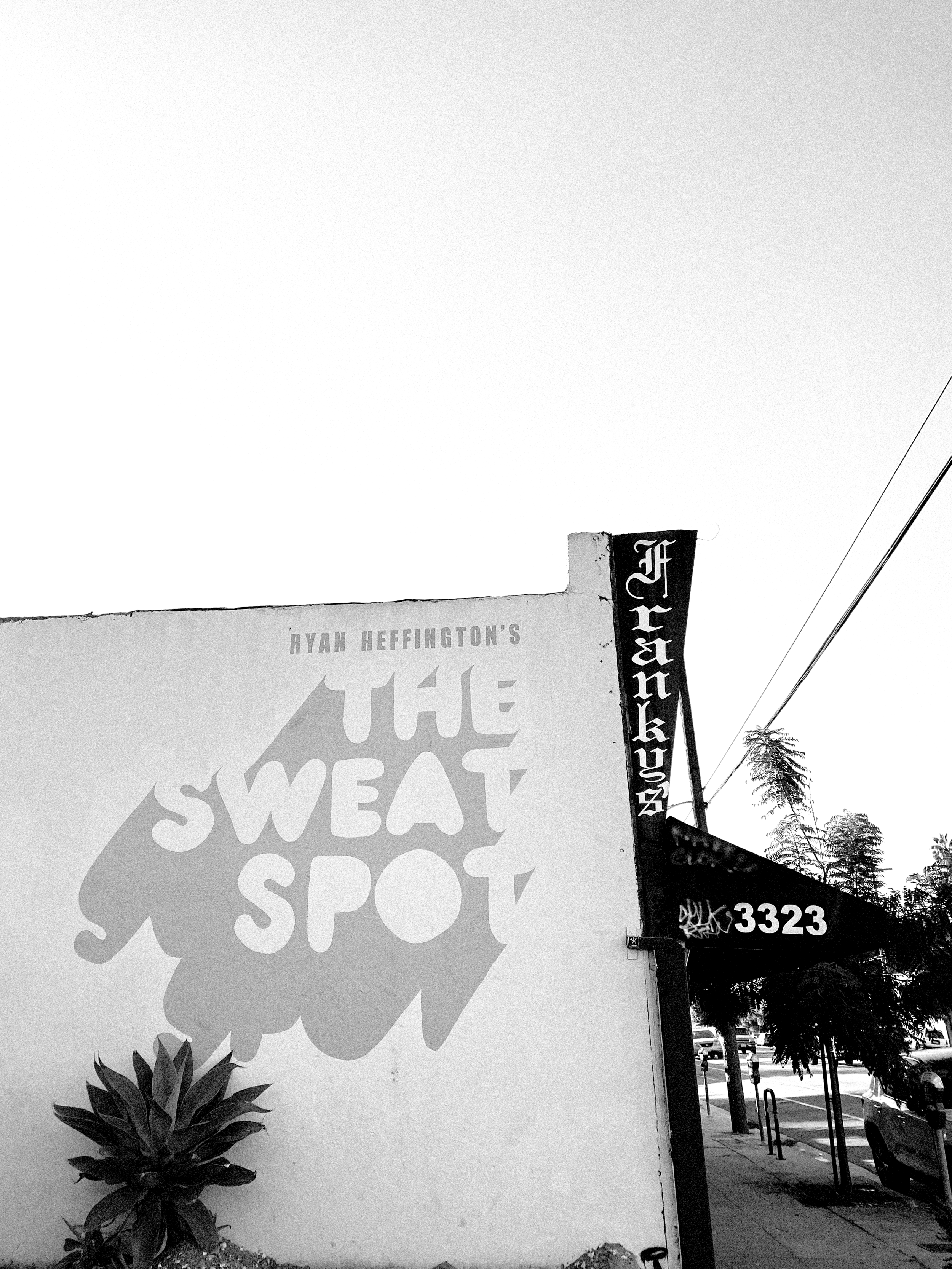 THE SWEAT SHOP (Copy)